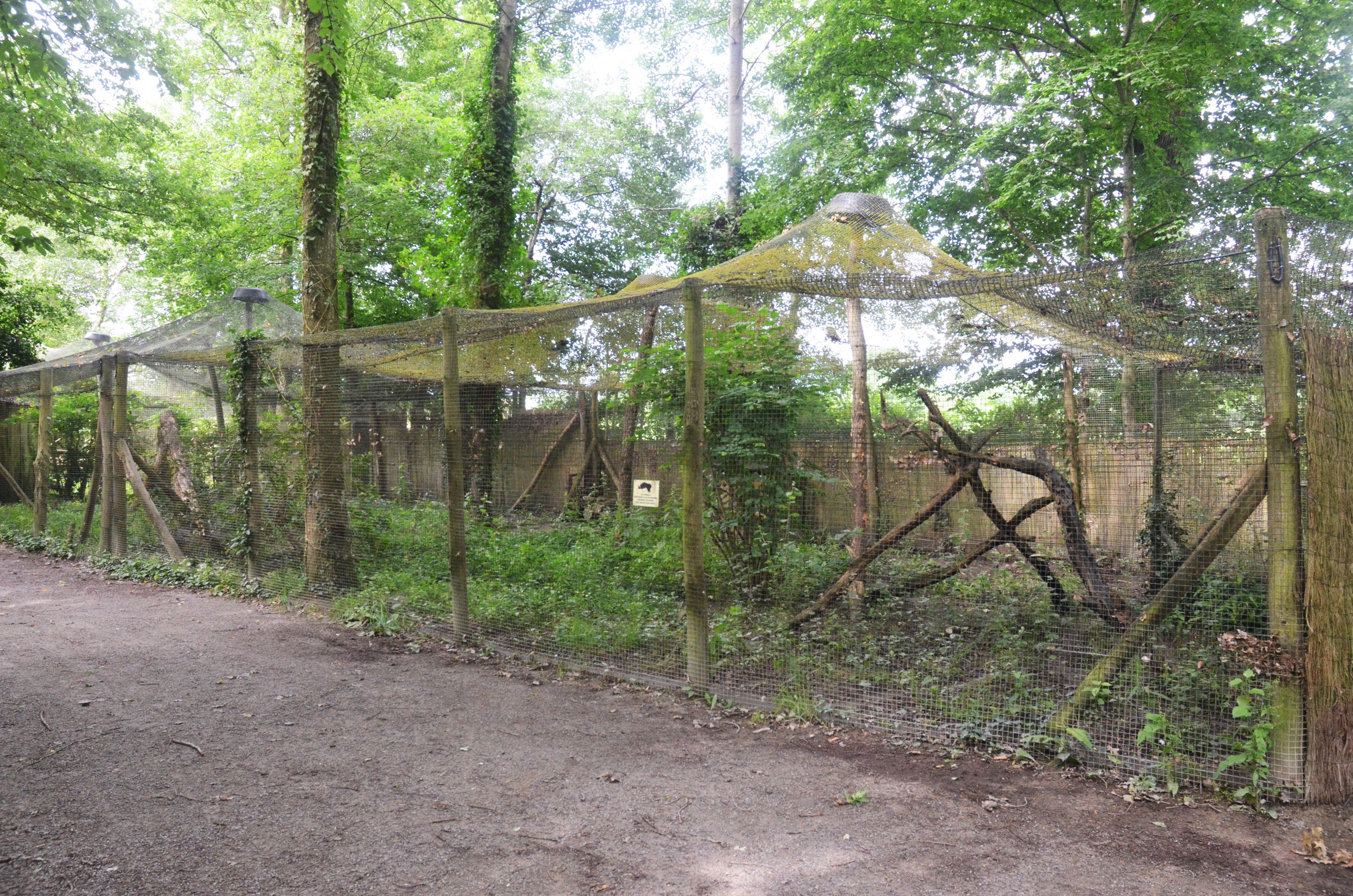 Cat Enclosures at Spaycific'Zoo, 13/06/18