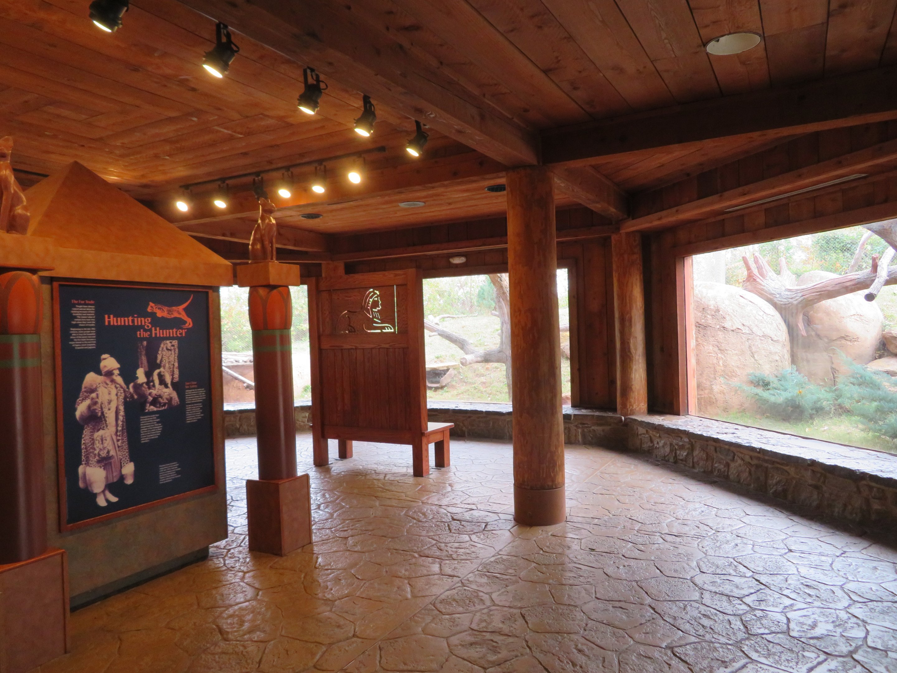 Cat Exhibit Viewing Area