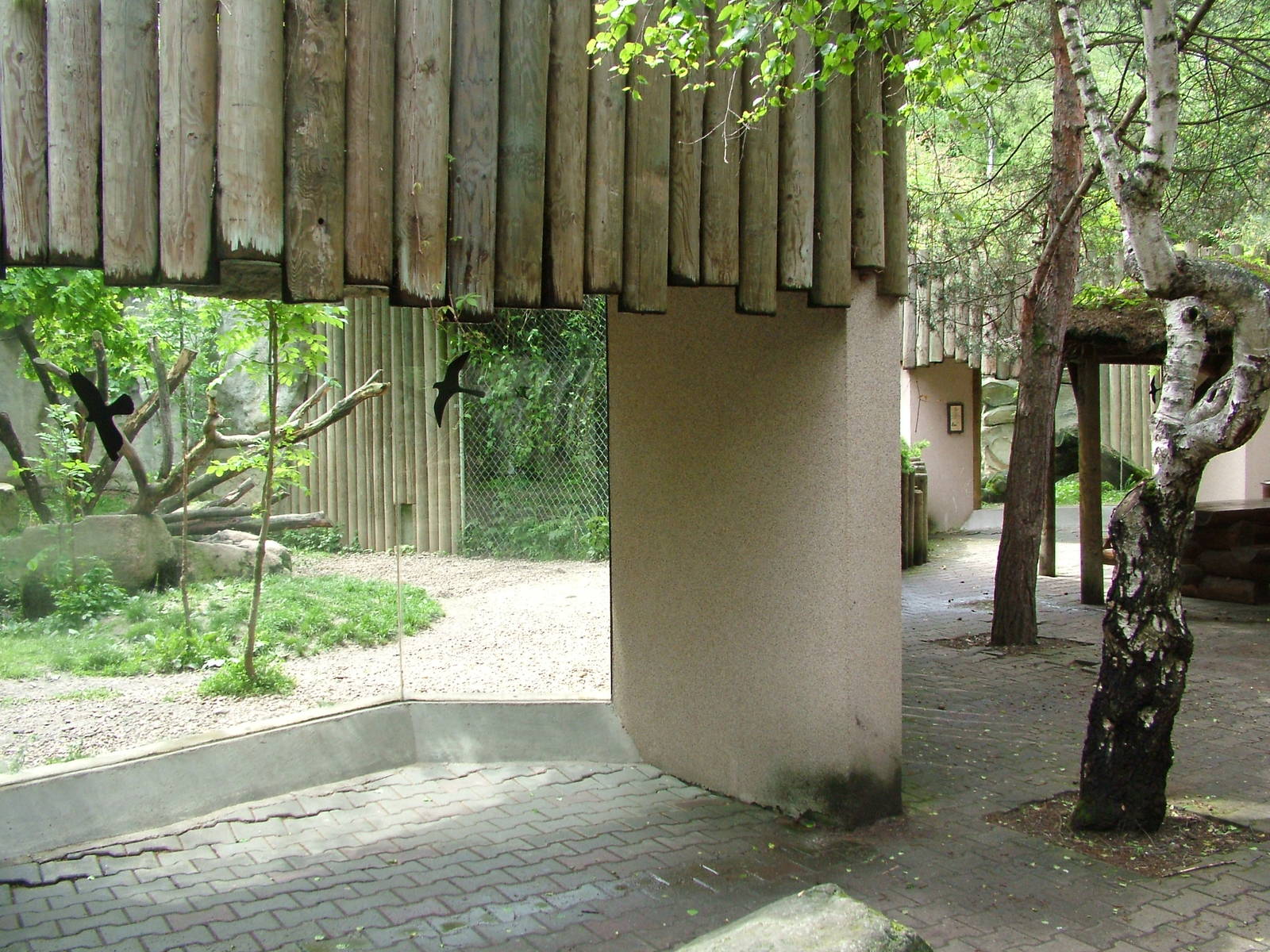 Cat exhibits at Jihlava, 31/05/10