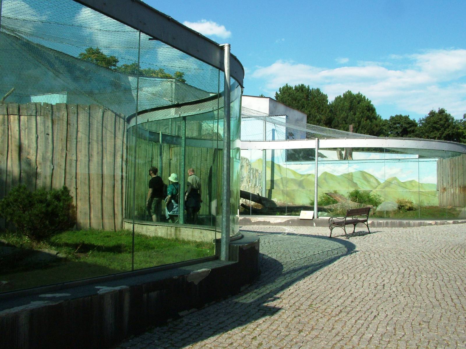 Cat Exhibits at Usti, 29/08/12