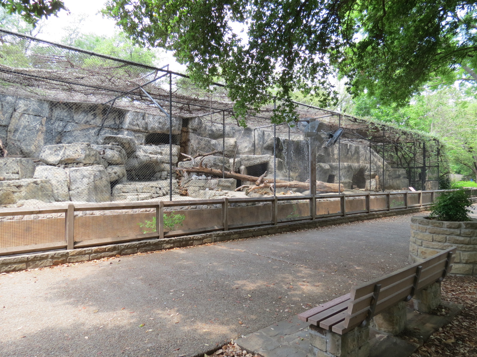 Cat Green - Cougar Exhibit