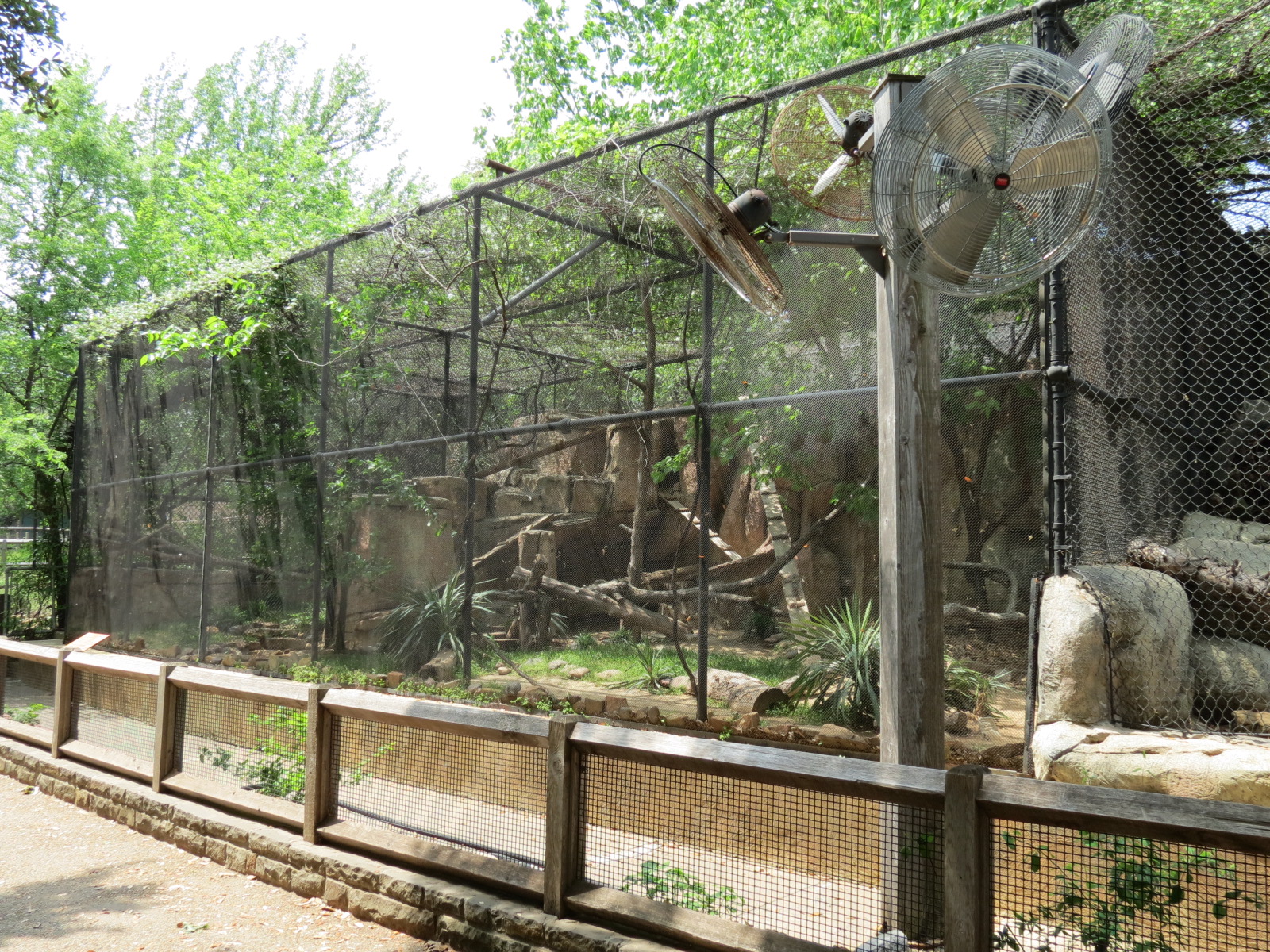 Cat Green - Ocelot Exhibit 1