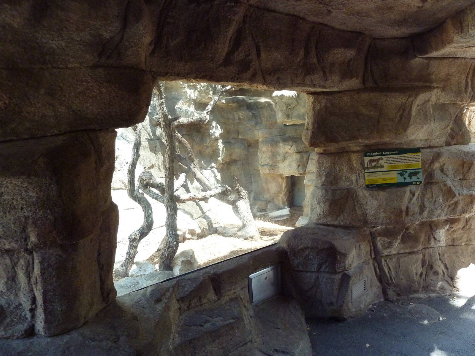 Cat Grotto - Clouded Leopard Exhibit