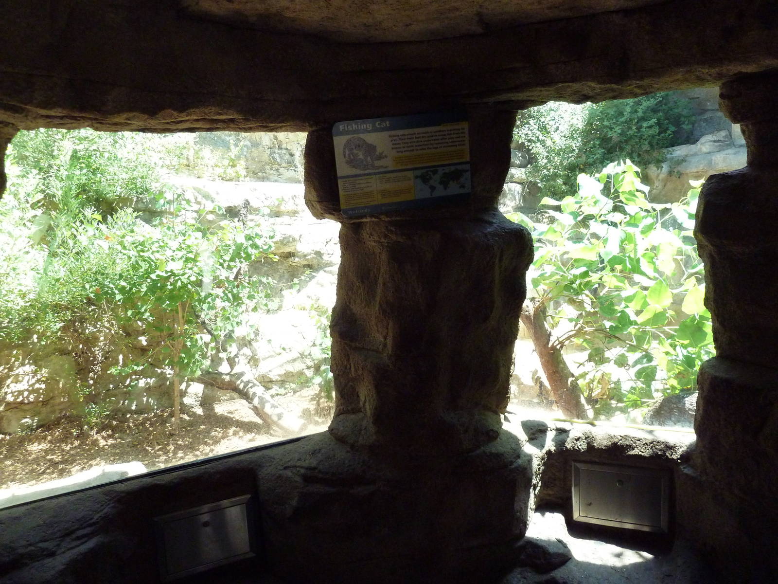 Cat Grotto - Fishing Cat Exhibit