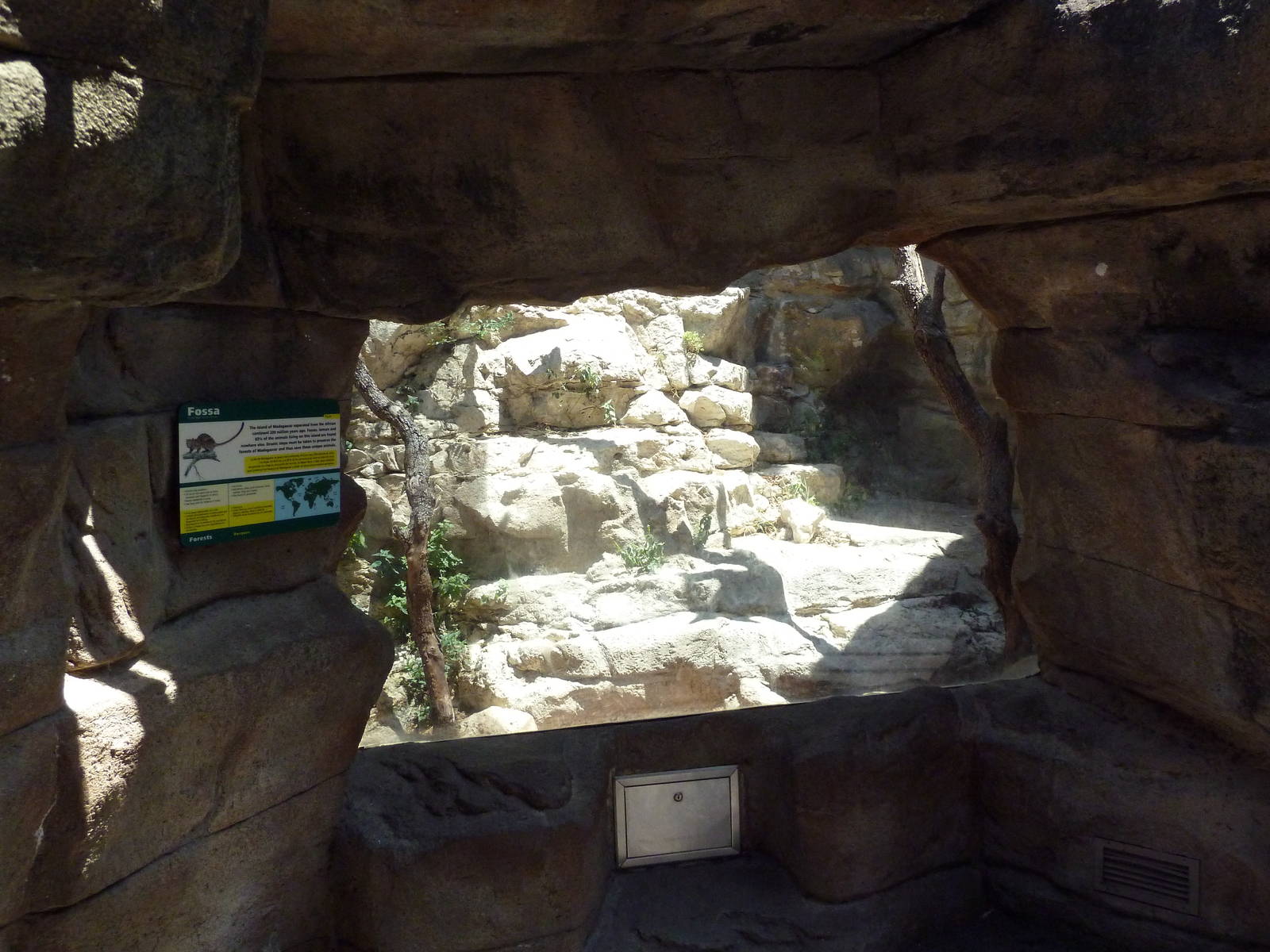 Cat Grotto - Fossa Exhibit