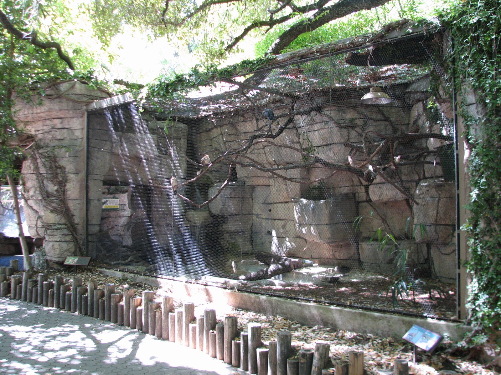 Cat Grotto - Guira Cuckoo, Ringed Teal, and Silver Teal Exhibit