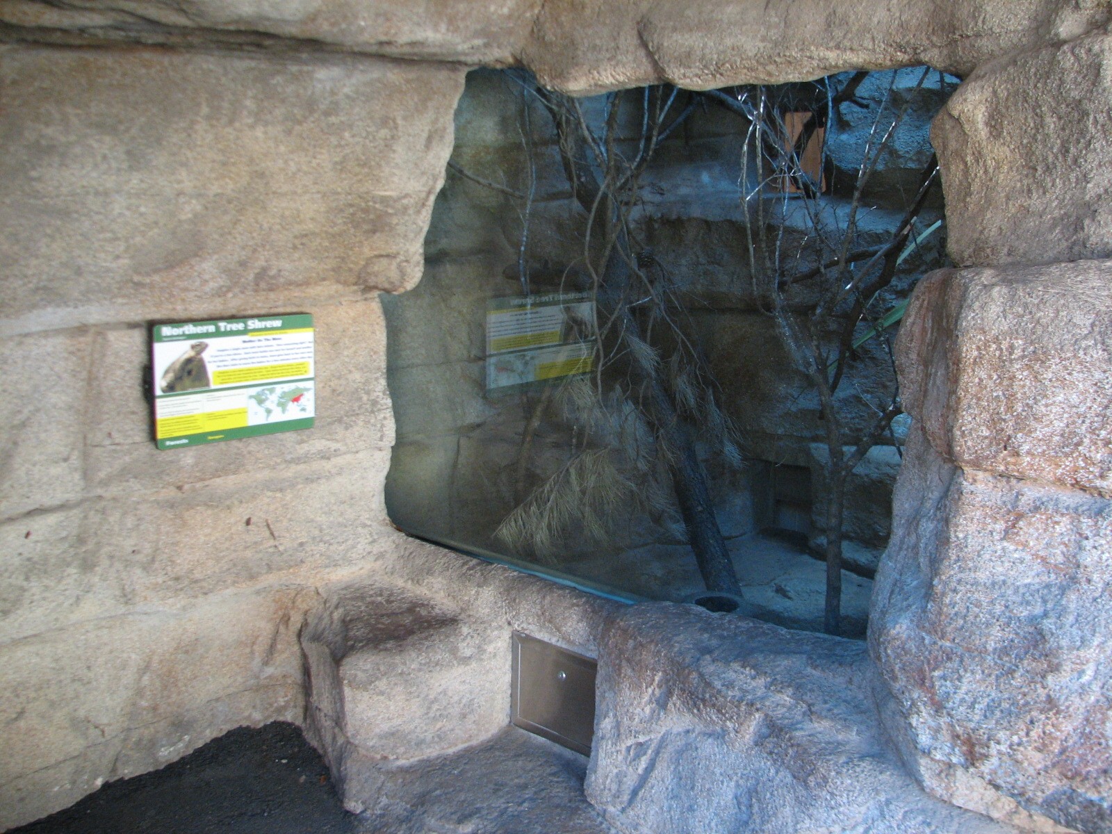Cat Grotto - Northern Tree Shrew Exhibit