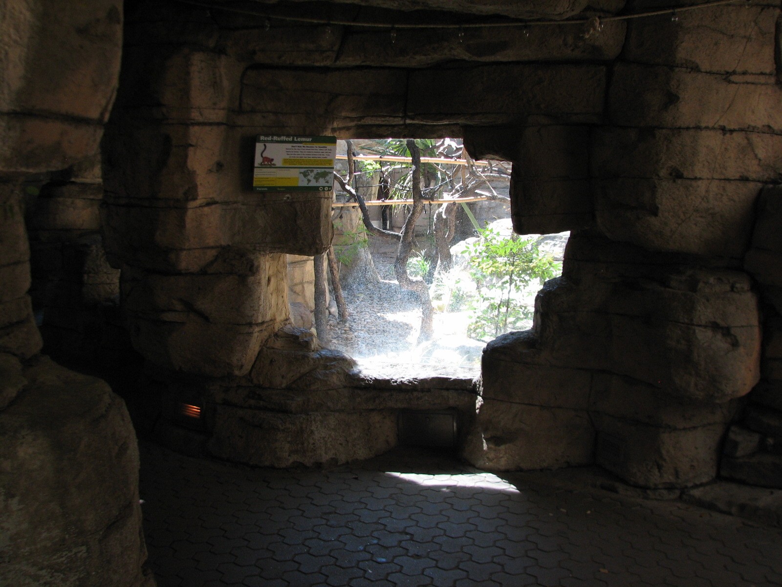 Cat Grotto - Red Ruffed Lemur Exhibit Viewing Area