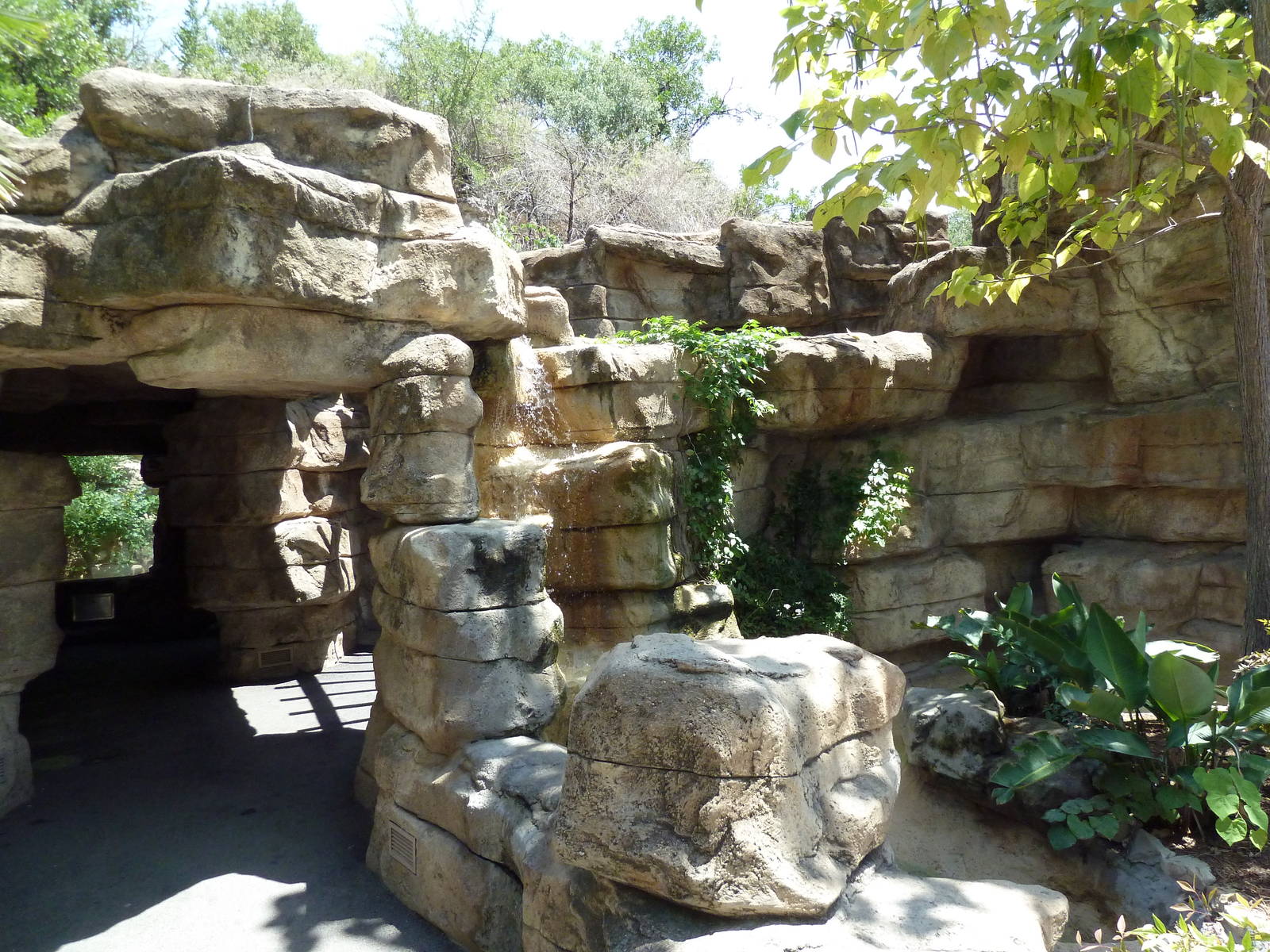 Cat Grotto - Visitor Entrance/Exit