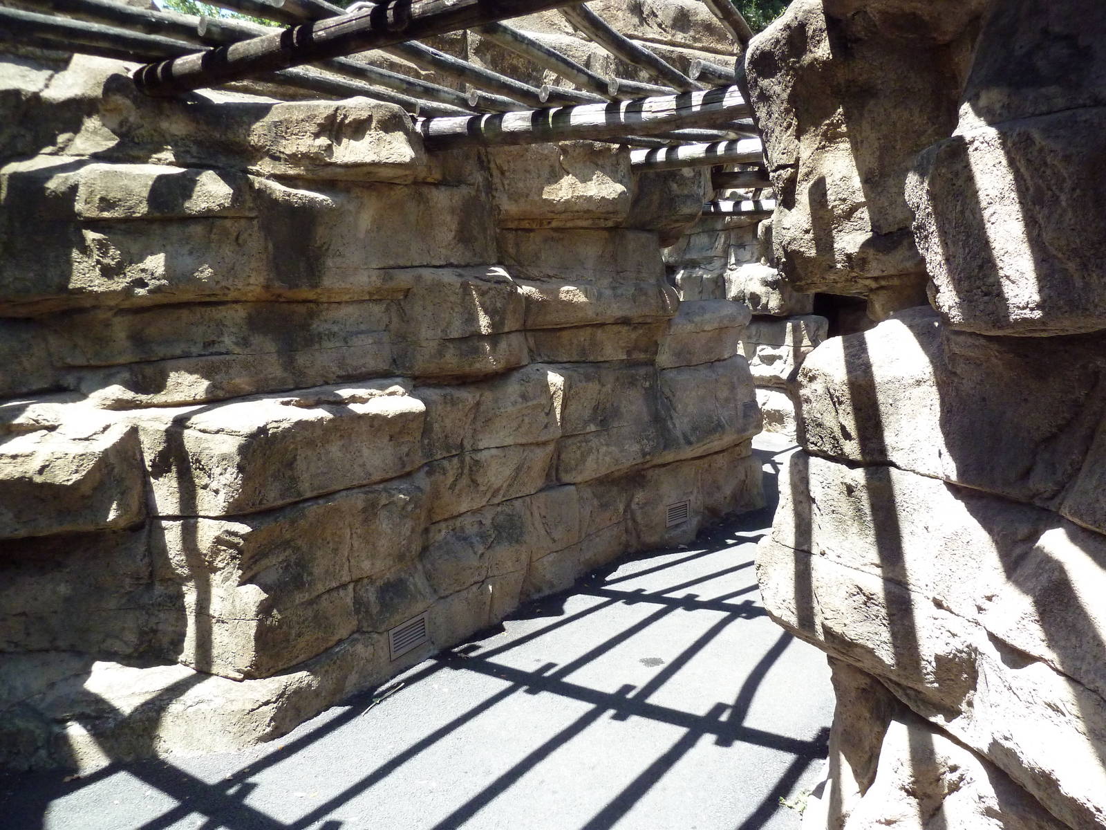 Cat Grotto - Visitor Walkway