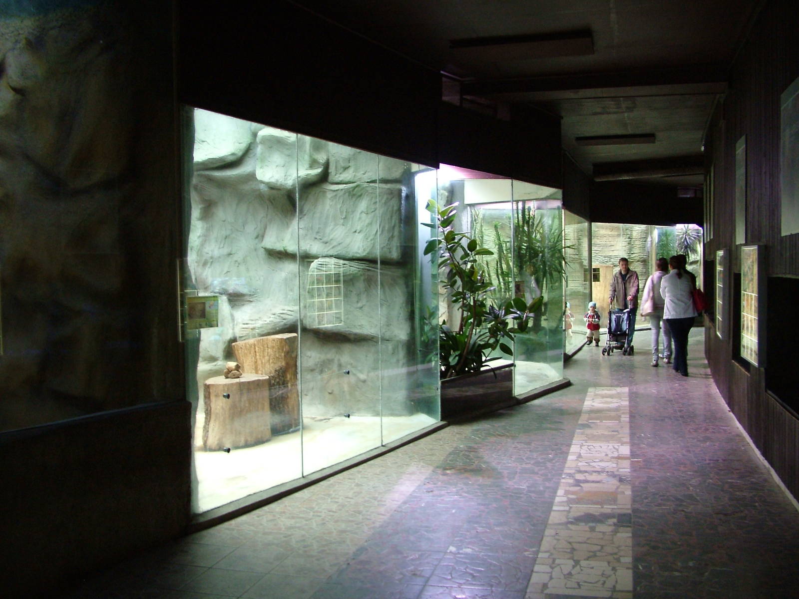 Cat House/Aquarium at Olomouc 30/05/09