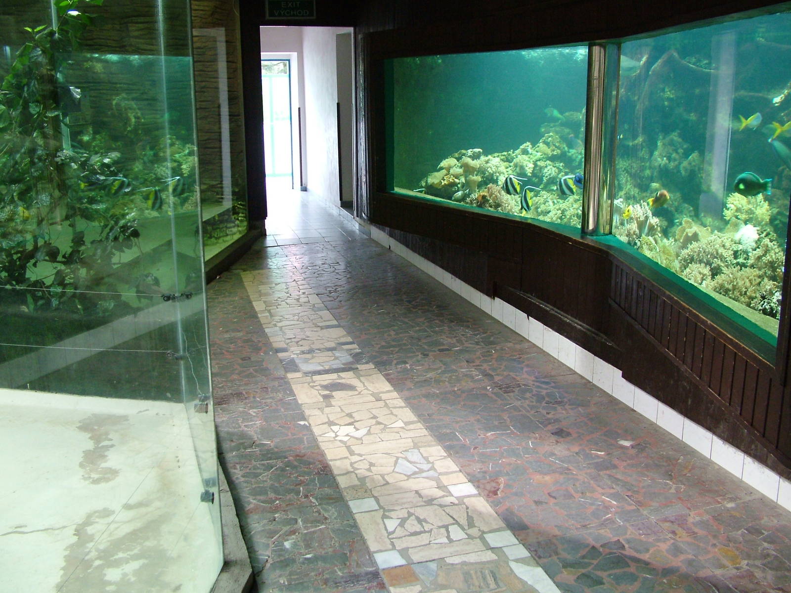 Cat House/Aquarium at Olomouc 30/05/09