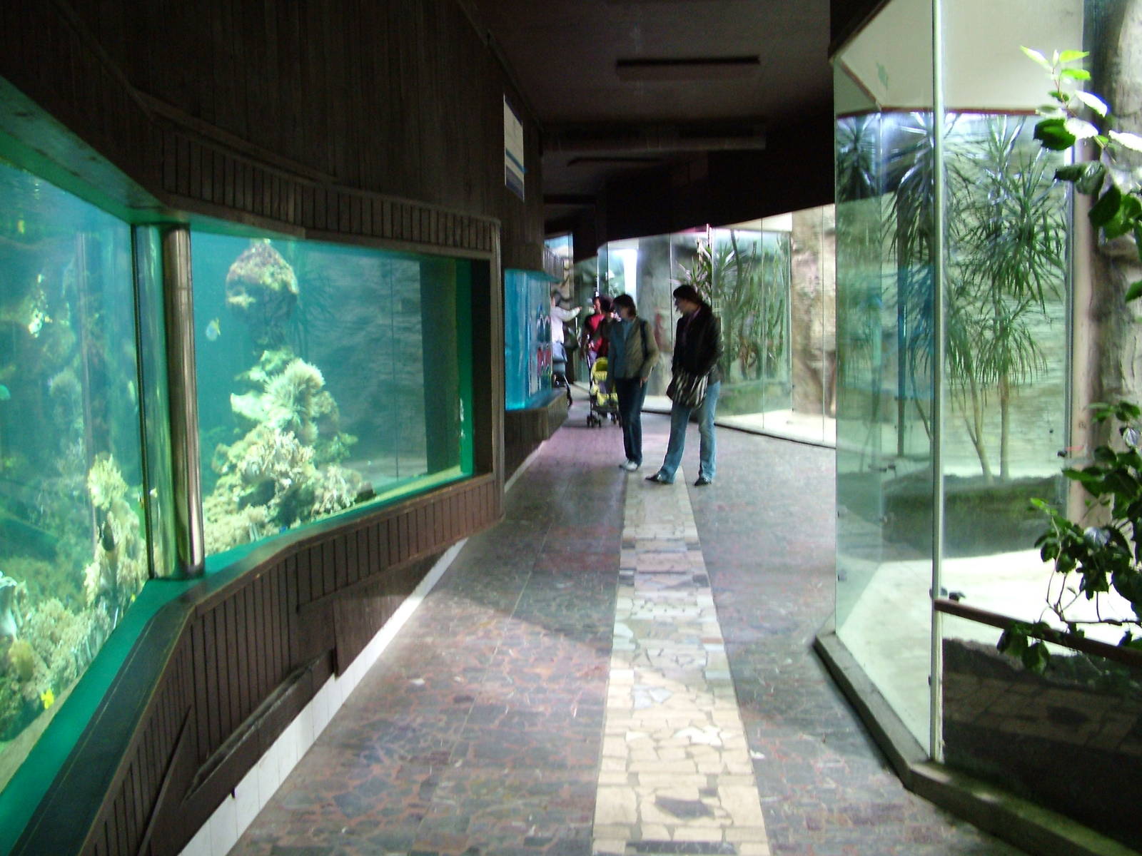 Cat House/Aquarium at Olomouc 30/05/09