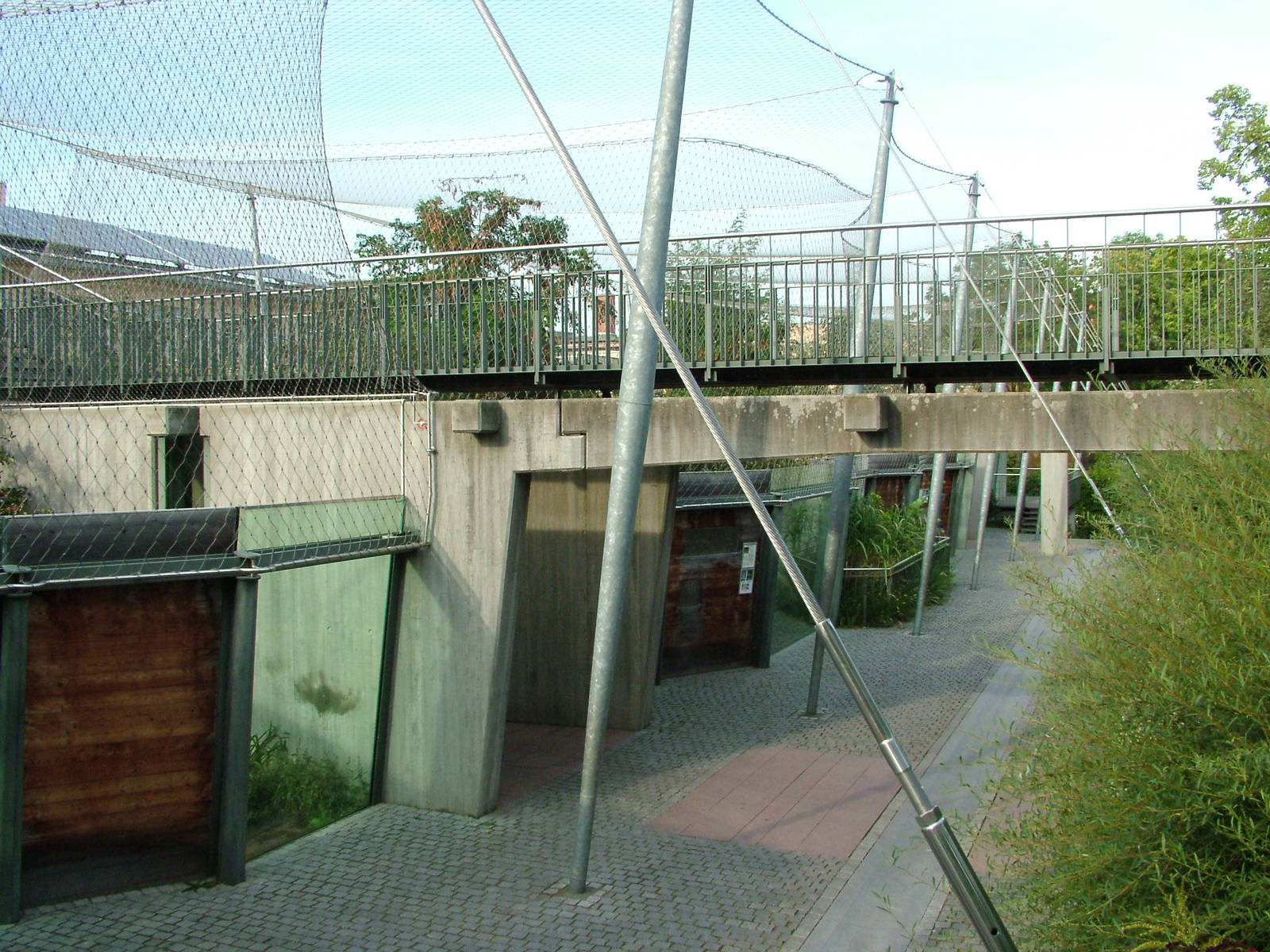 Cat House at Halle, 04/09/11