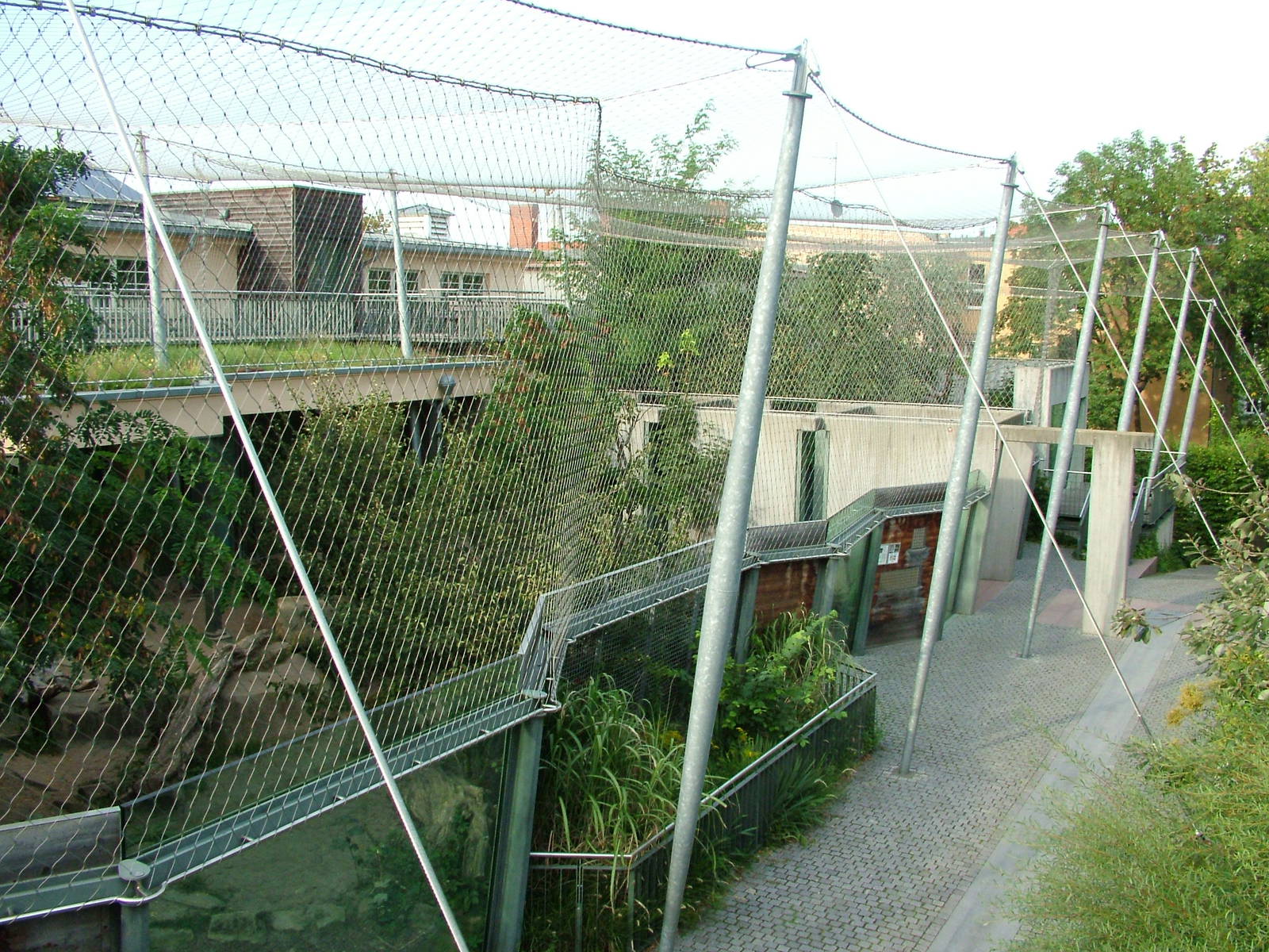 Cat House at Halle, 04/09/11