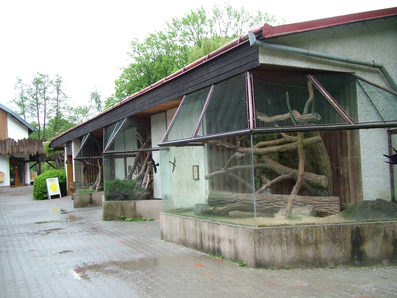 Cat House at Jihlava, 31/05/10