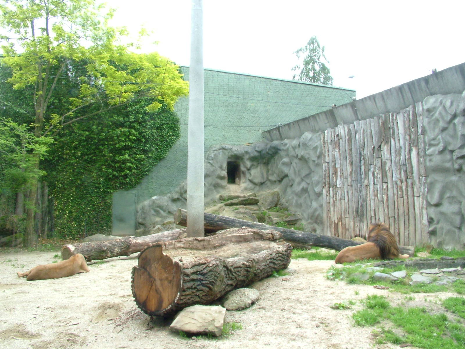 Cat House at Olomouc 30/05/09