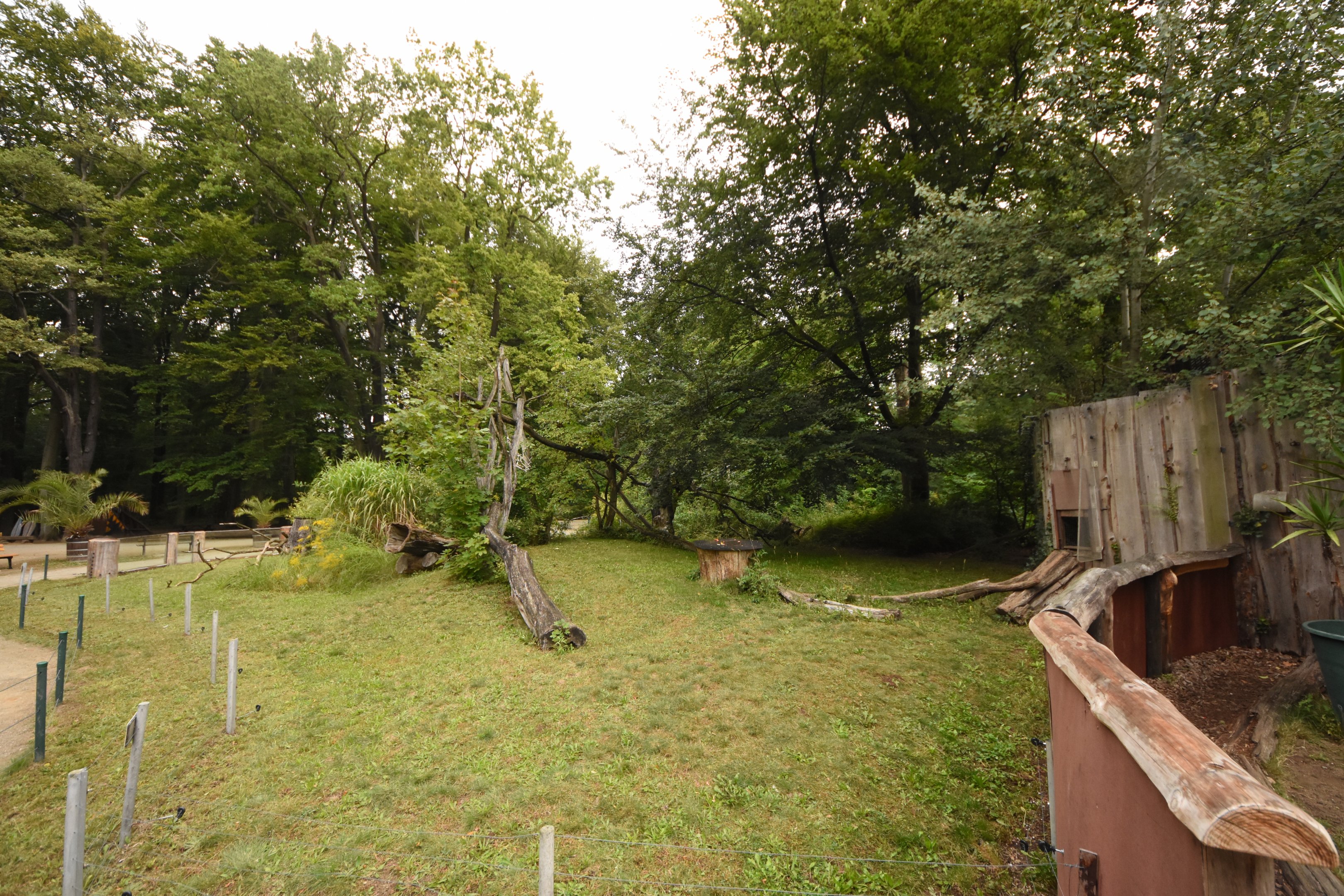 Cat house - Coati outdoors