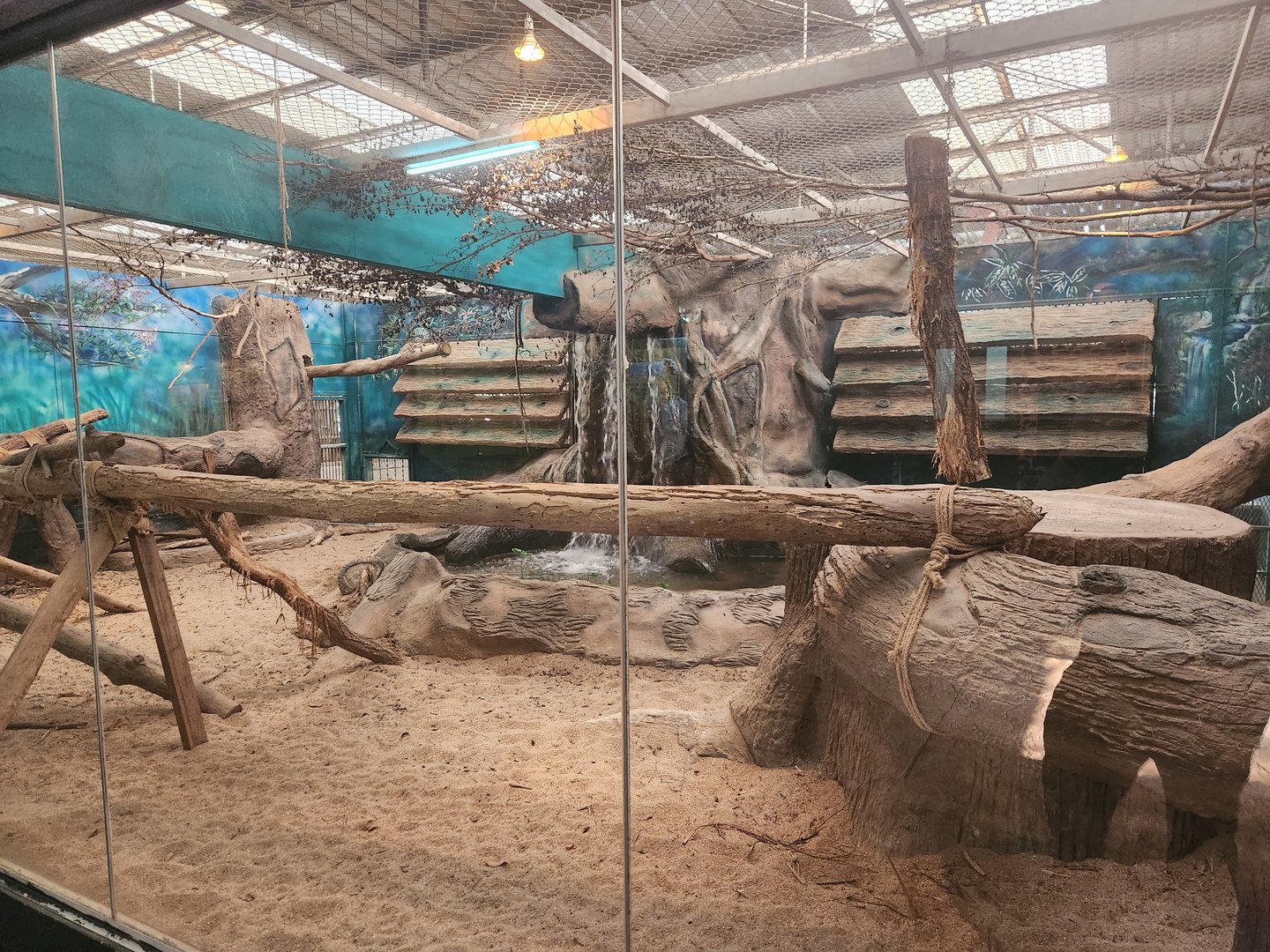 Cat-House Exhibit #1