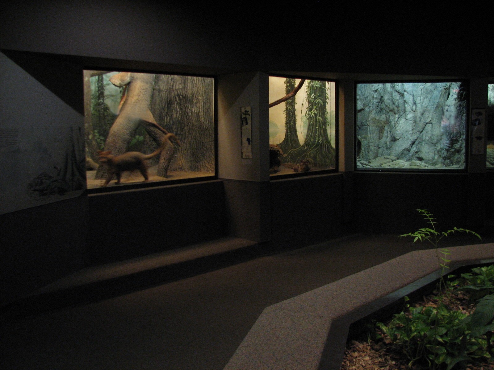 Cat House - Exhibits