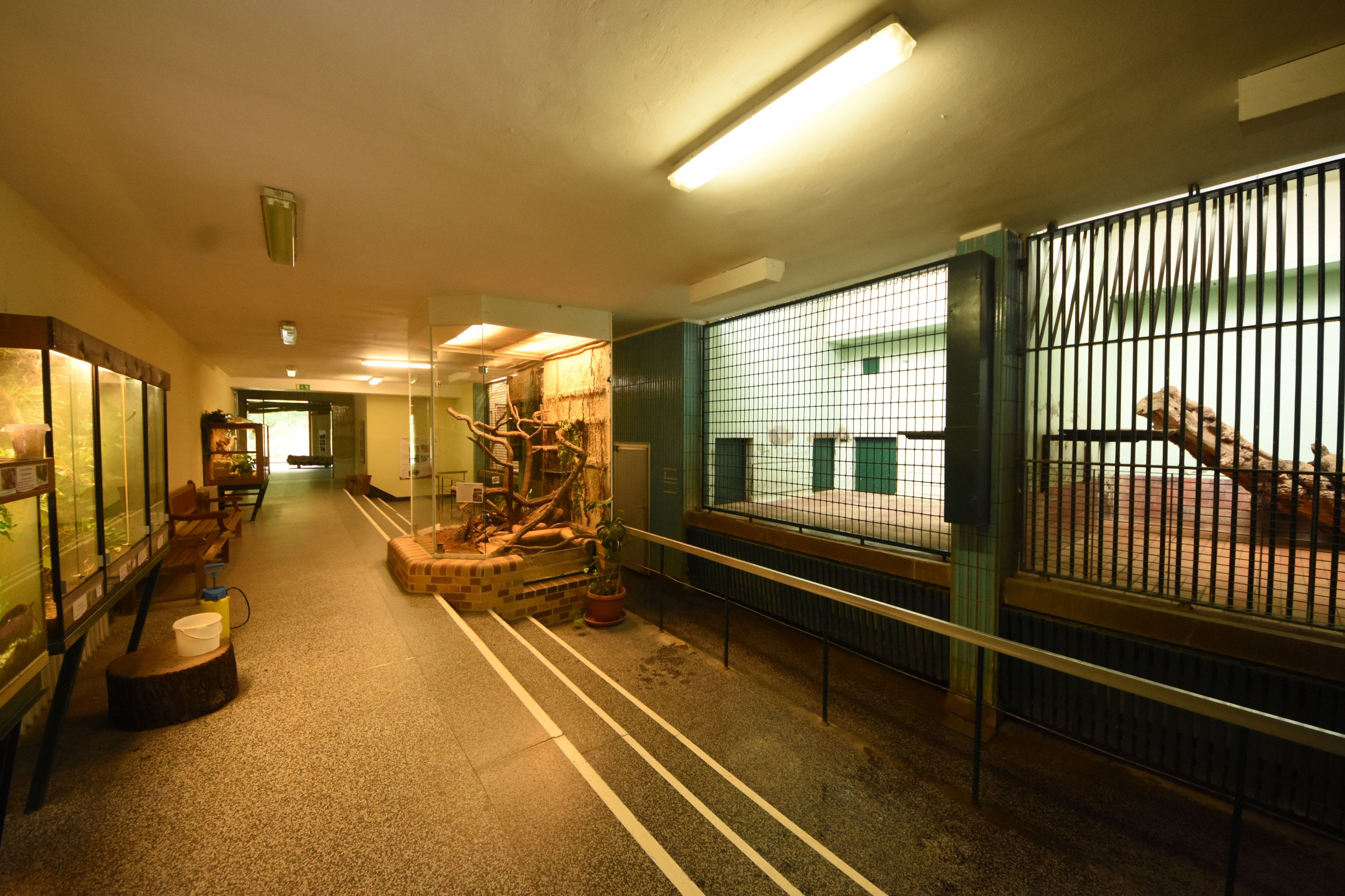 Cat house - General view