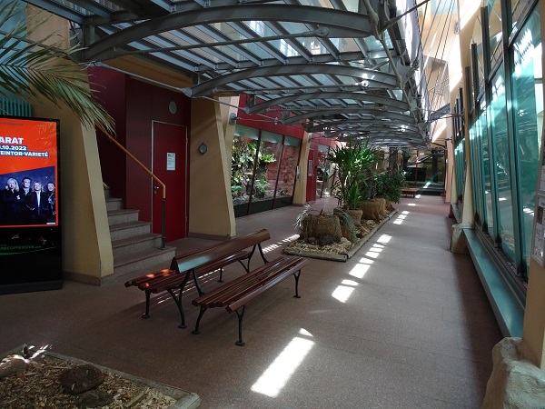 Cat House Interior (04/22)