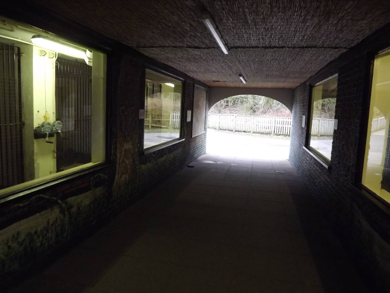 Cat house interior at Blackpool Zoo 26/02/12