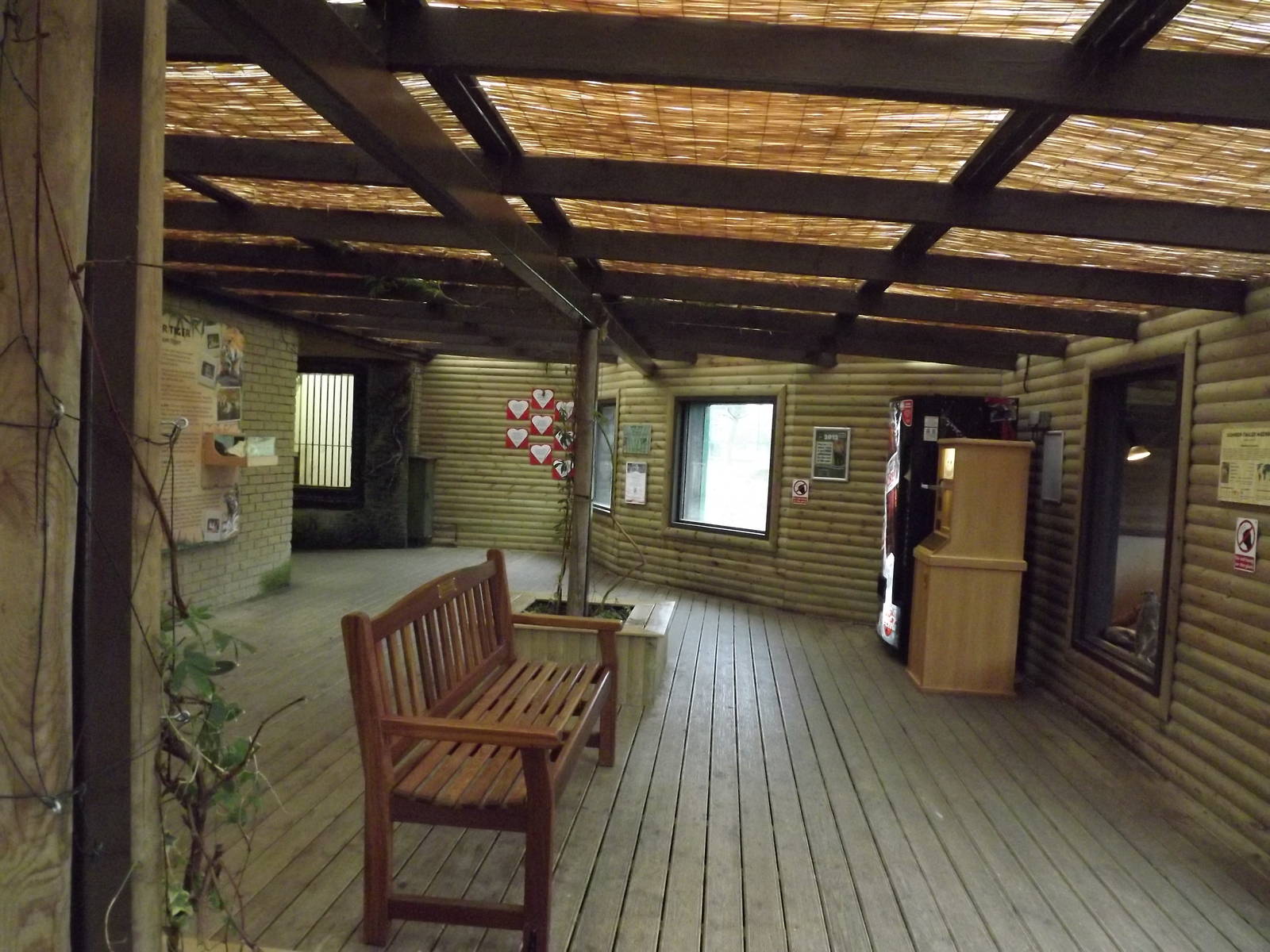 Cat house interior at Blackpool Zoo 26/02/12