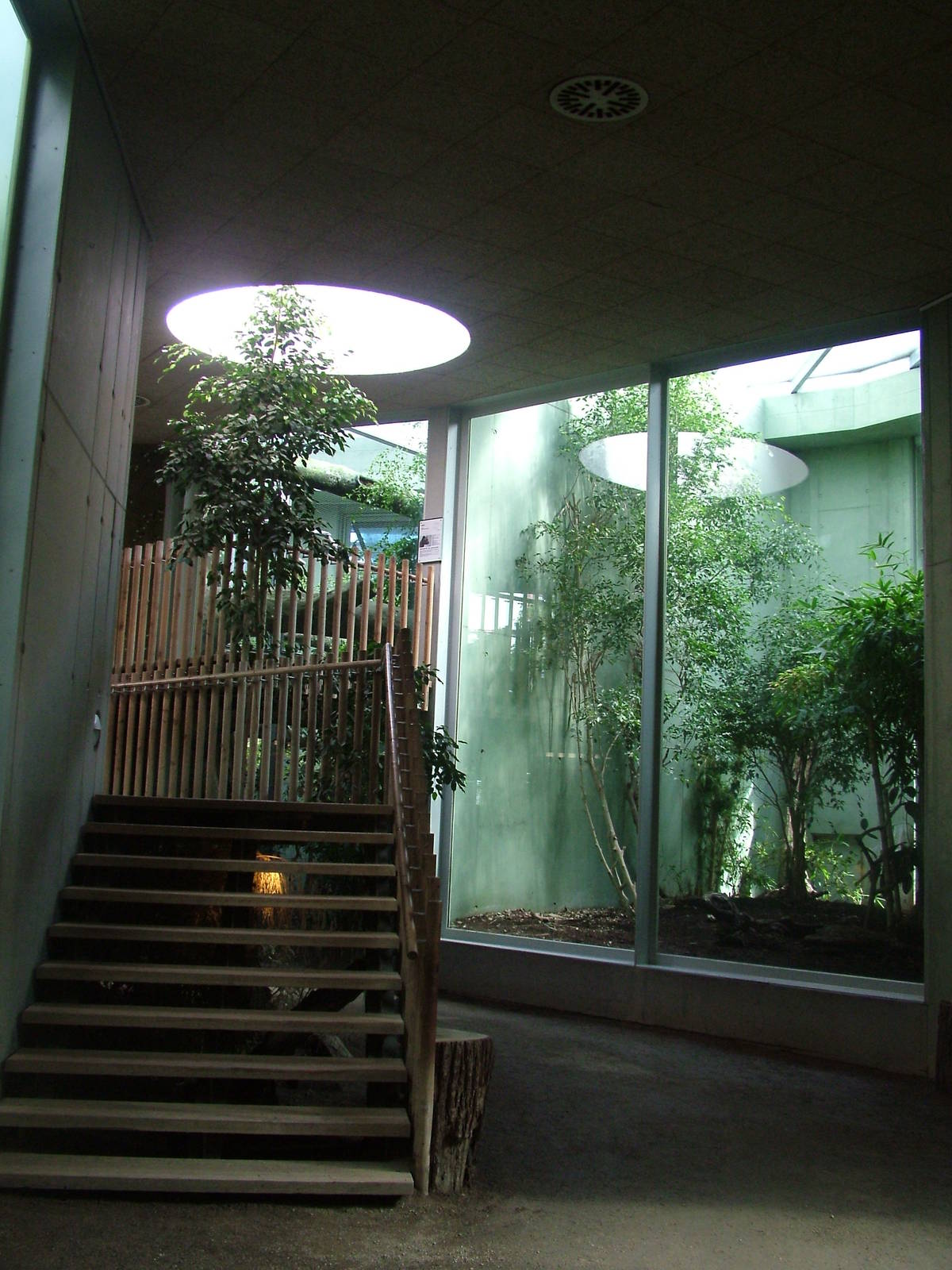 Cat House Interior at Frankfurt 31/08/10