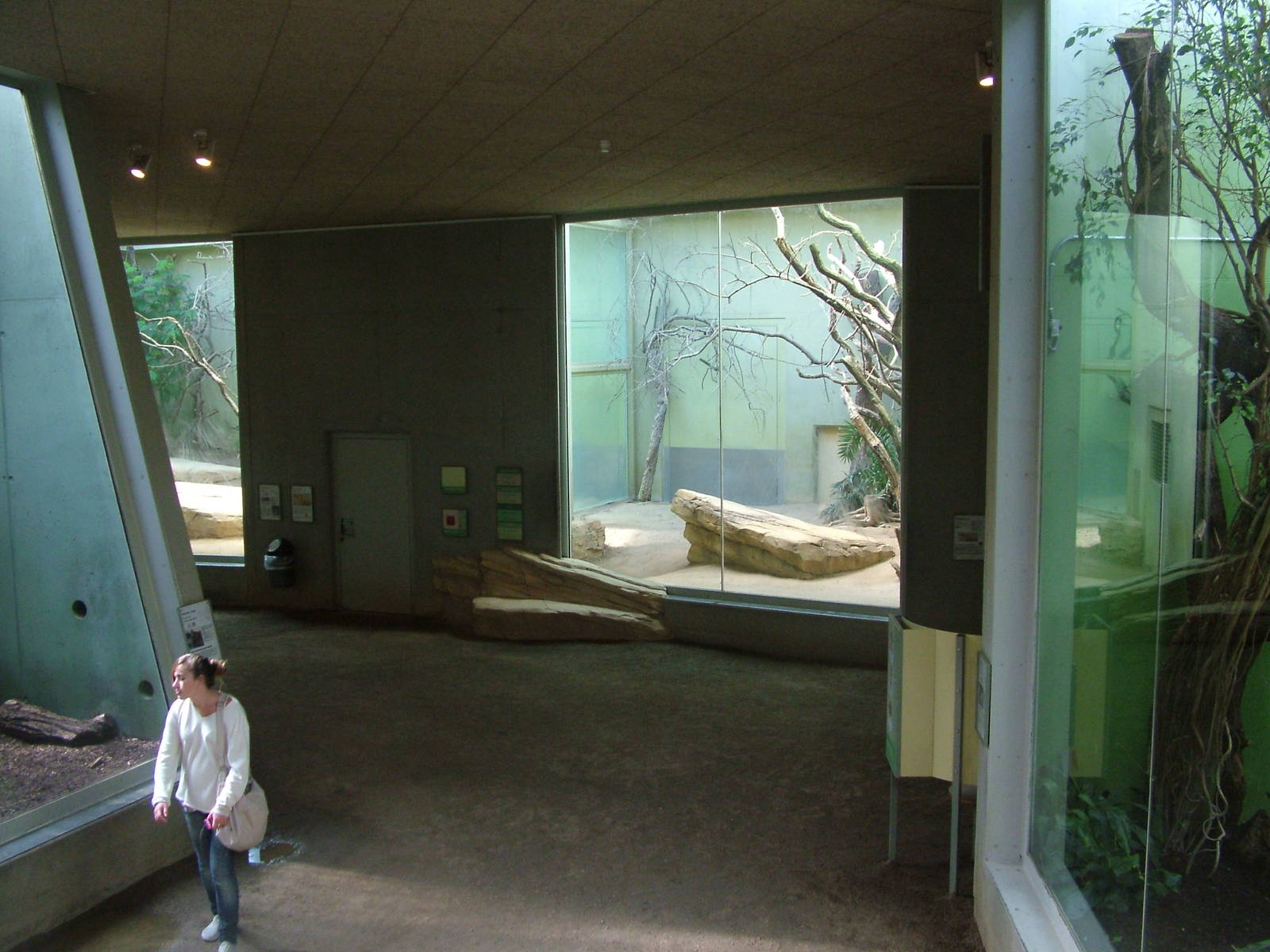 Cat House Interior at Frankfurt 31/08/10