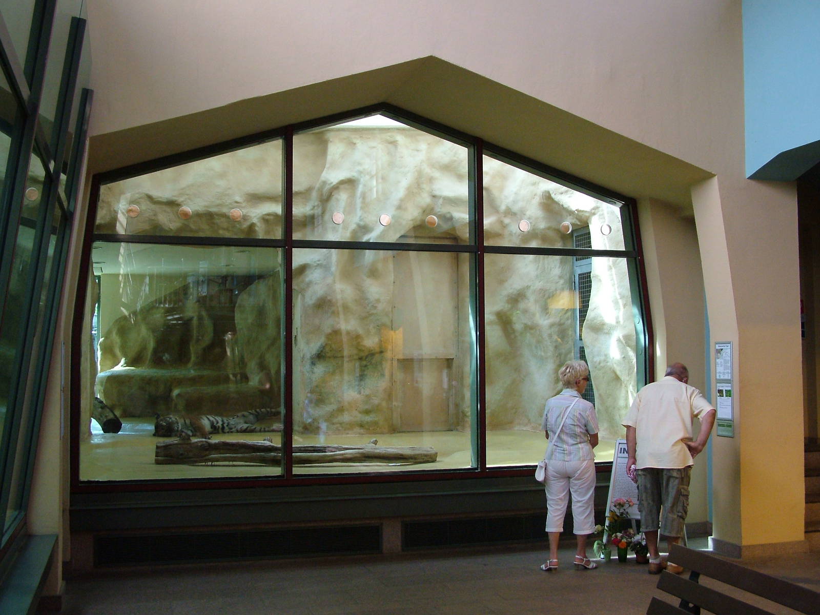 Cat House Interior at Halle, 04/09/11