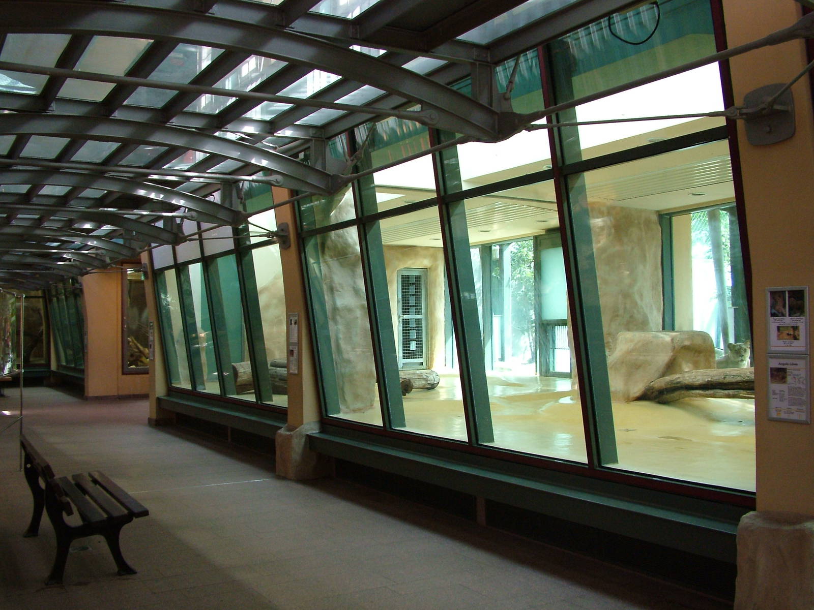 Cat House Interior at Halle, 04/09/11