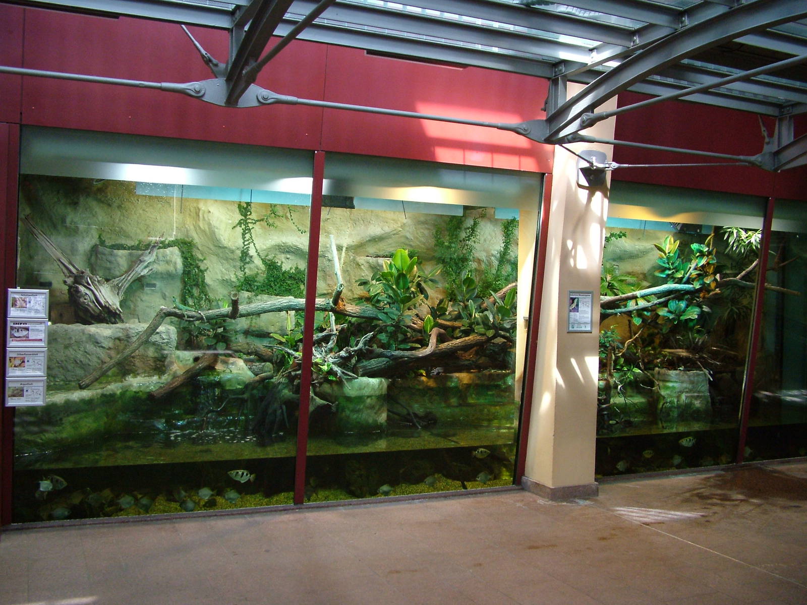 Cat House Interior at Halle, 04/09/11