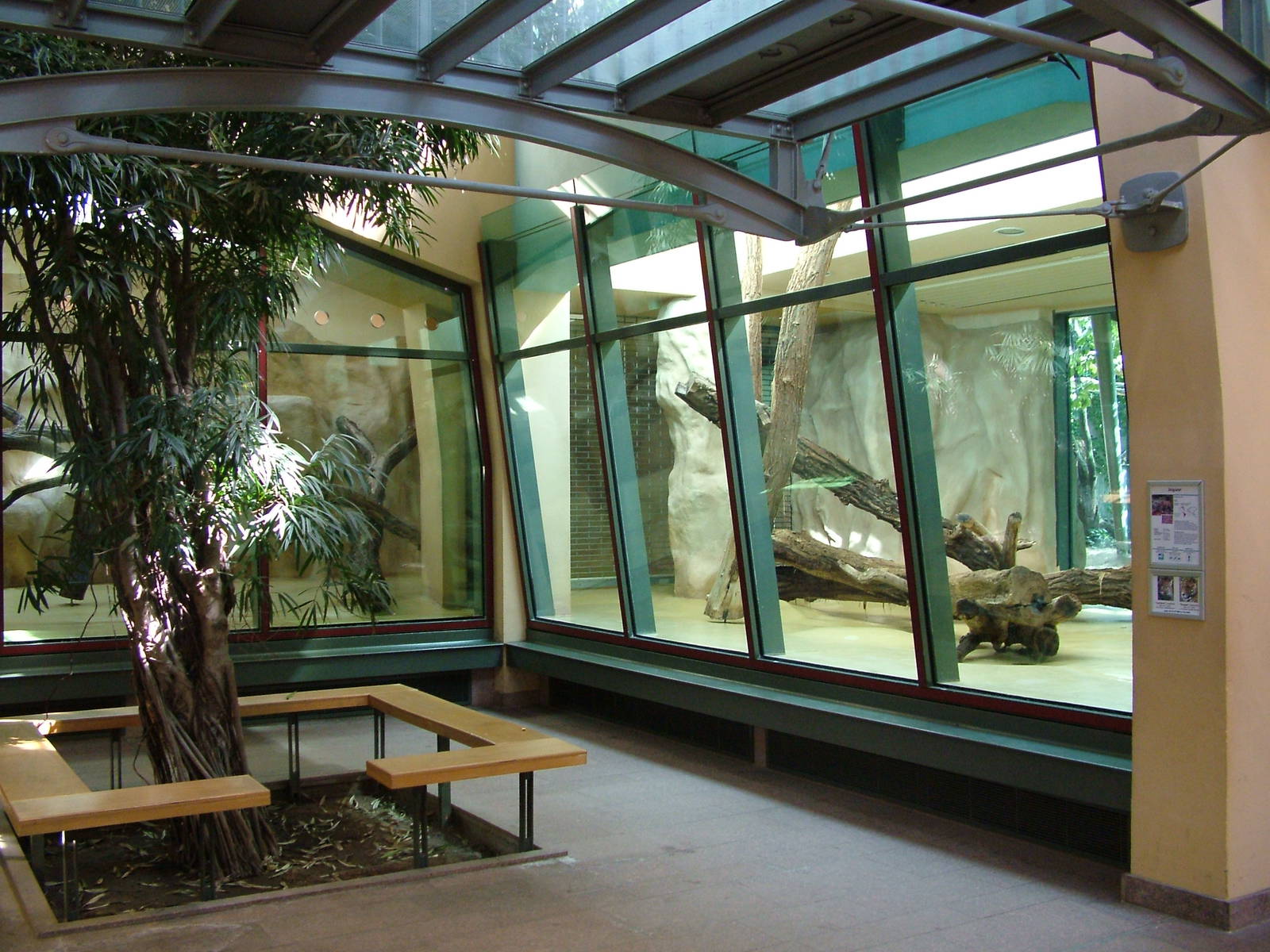 Cat House Interior at Halle, 04/09/11