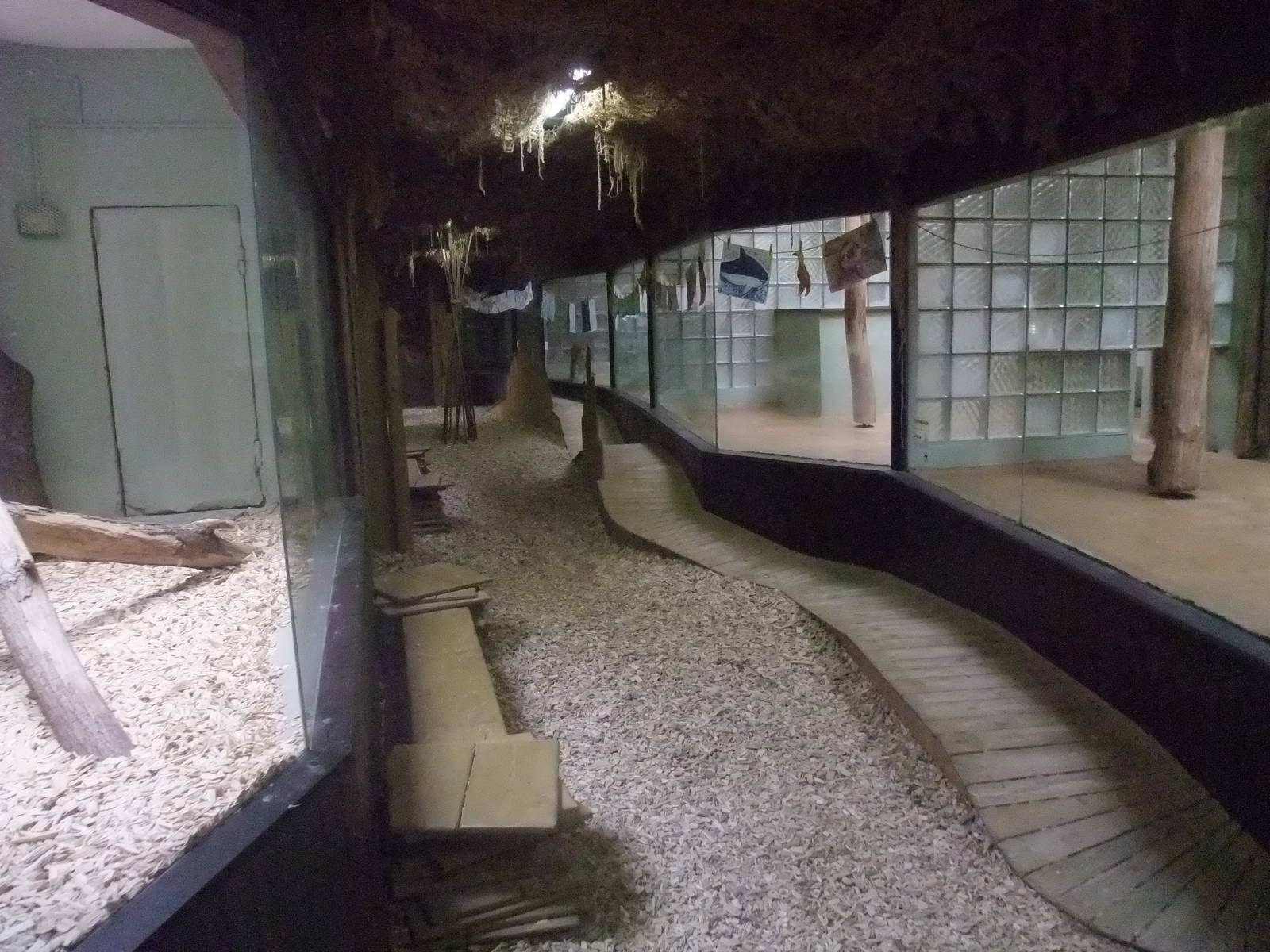 Cat House interior at Jihlava, 30/05/10