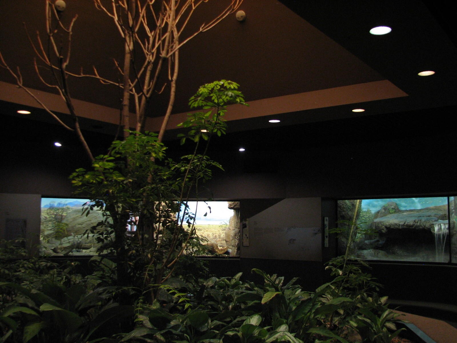 Cat House - Interior