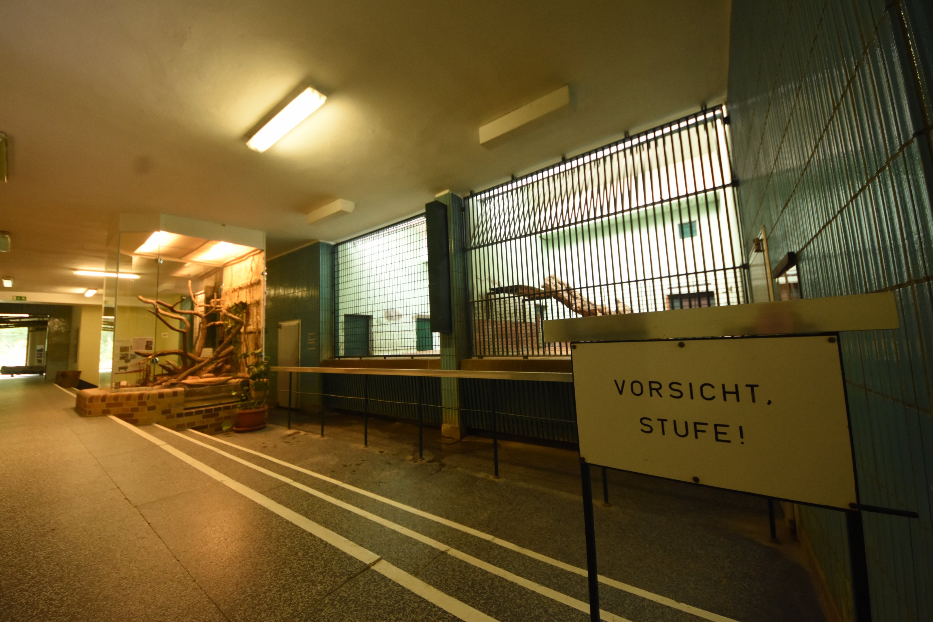 Cat house - Leopard indoors