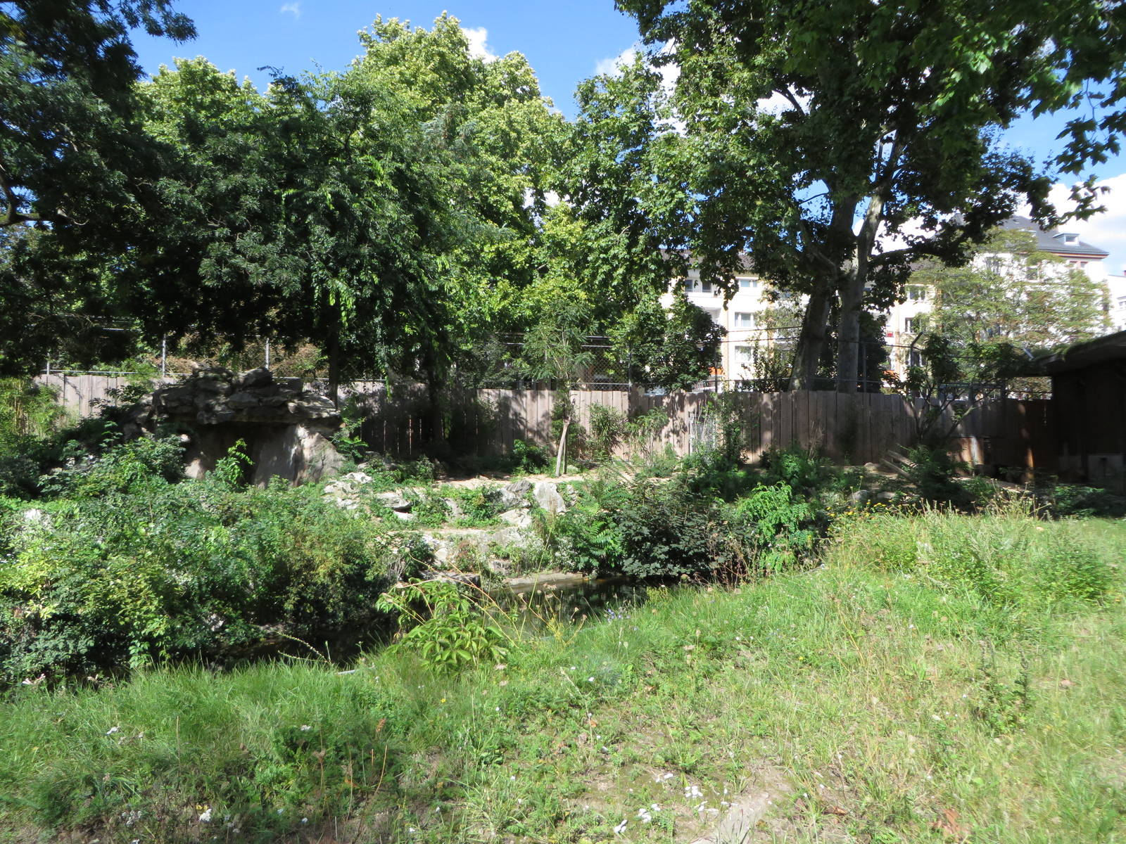 Cat house - lion outdoors