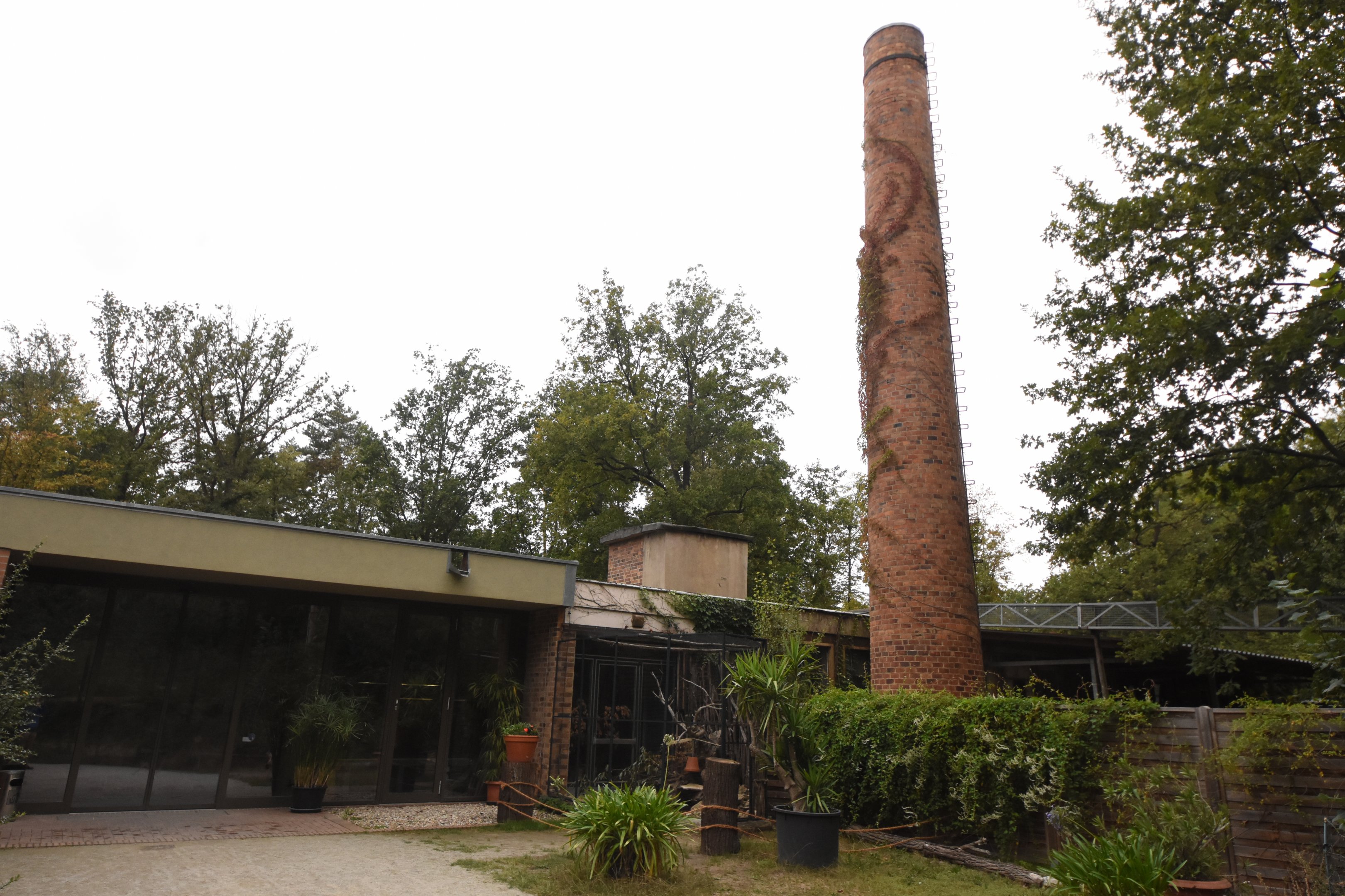 Cat house - Main entrance