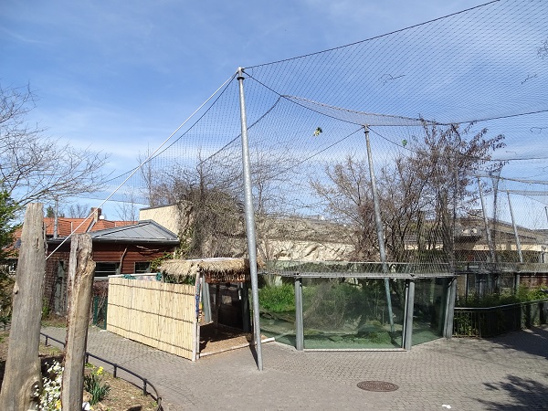 Cat House: Malayan tiger Enclosure (04/22)