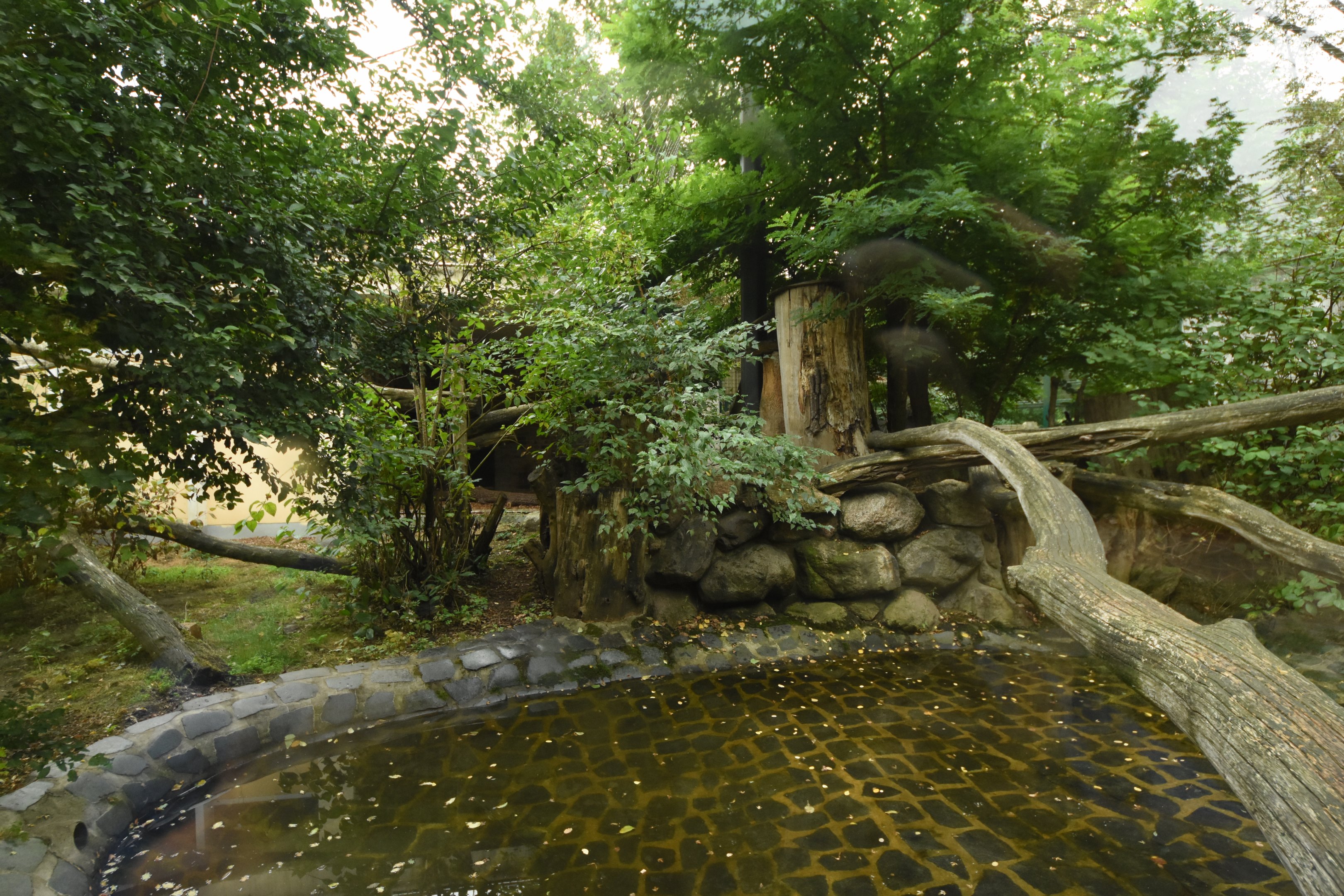 Cat house - N-Chinese leopard cage 1