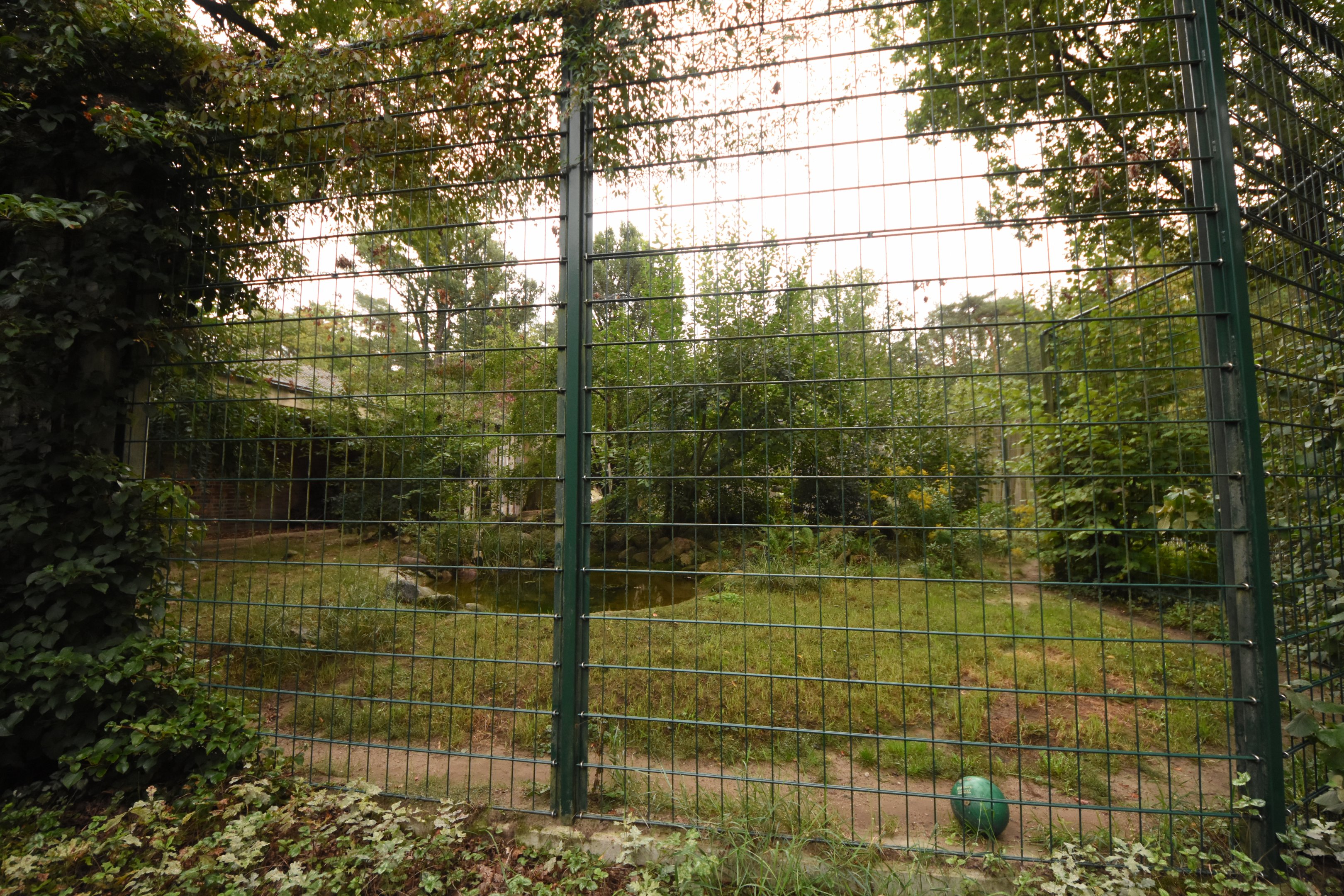 Cat house - N-Chinese leopard cage 2