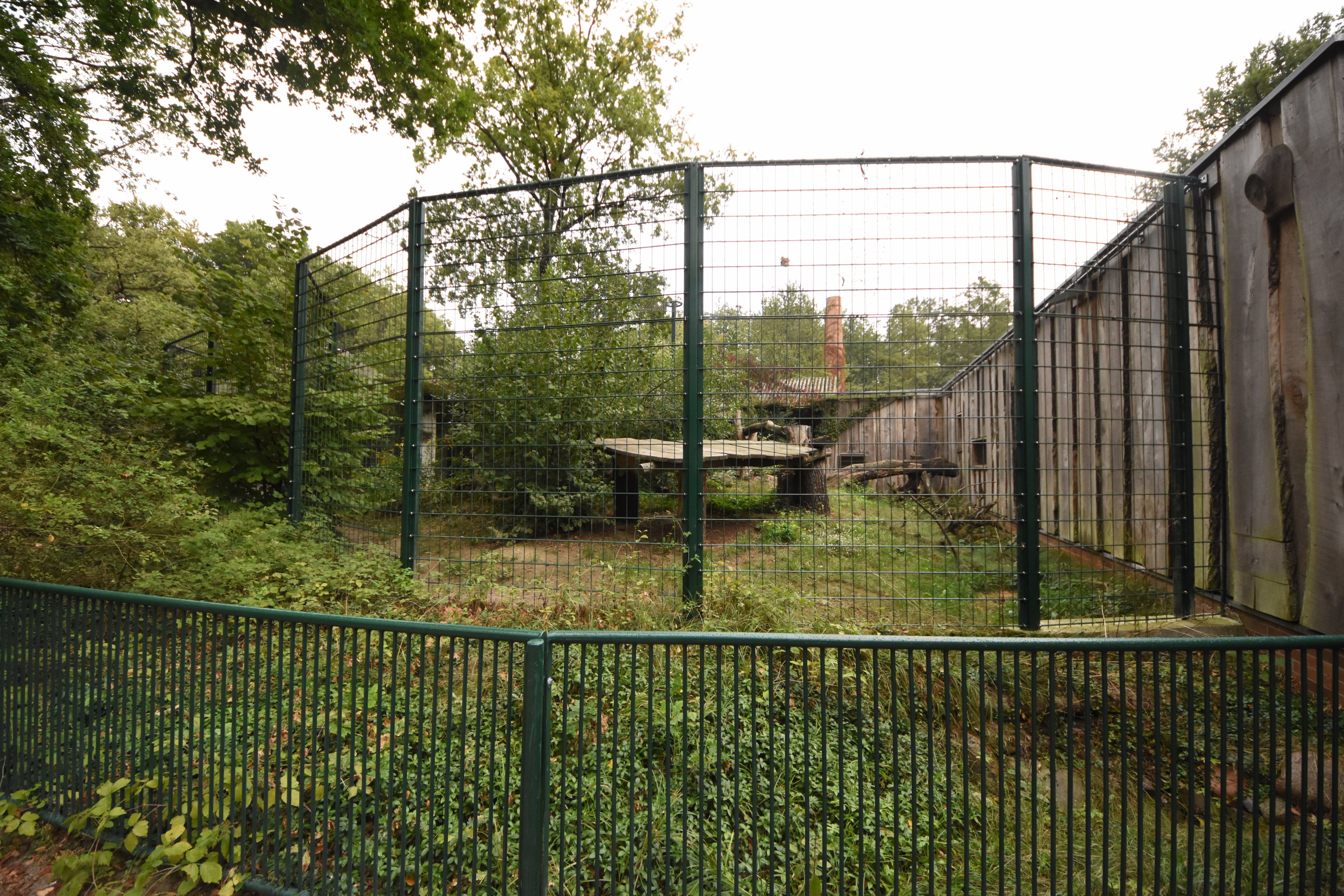 Cat house - N-Chinese leopard cage 2