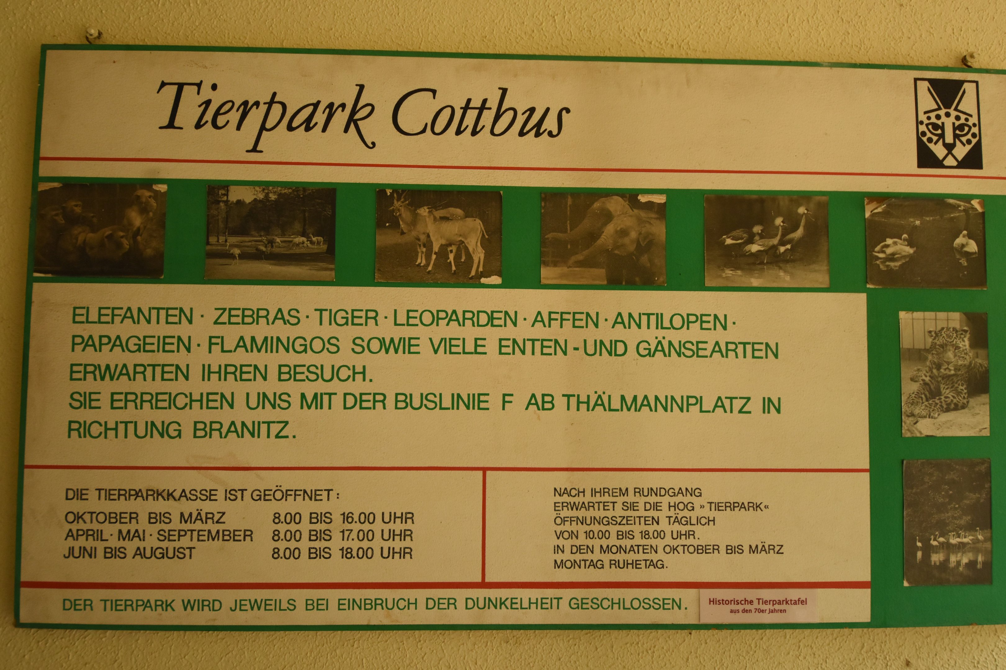 Cat house - Old signs