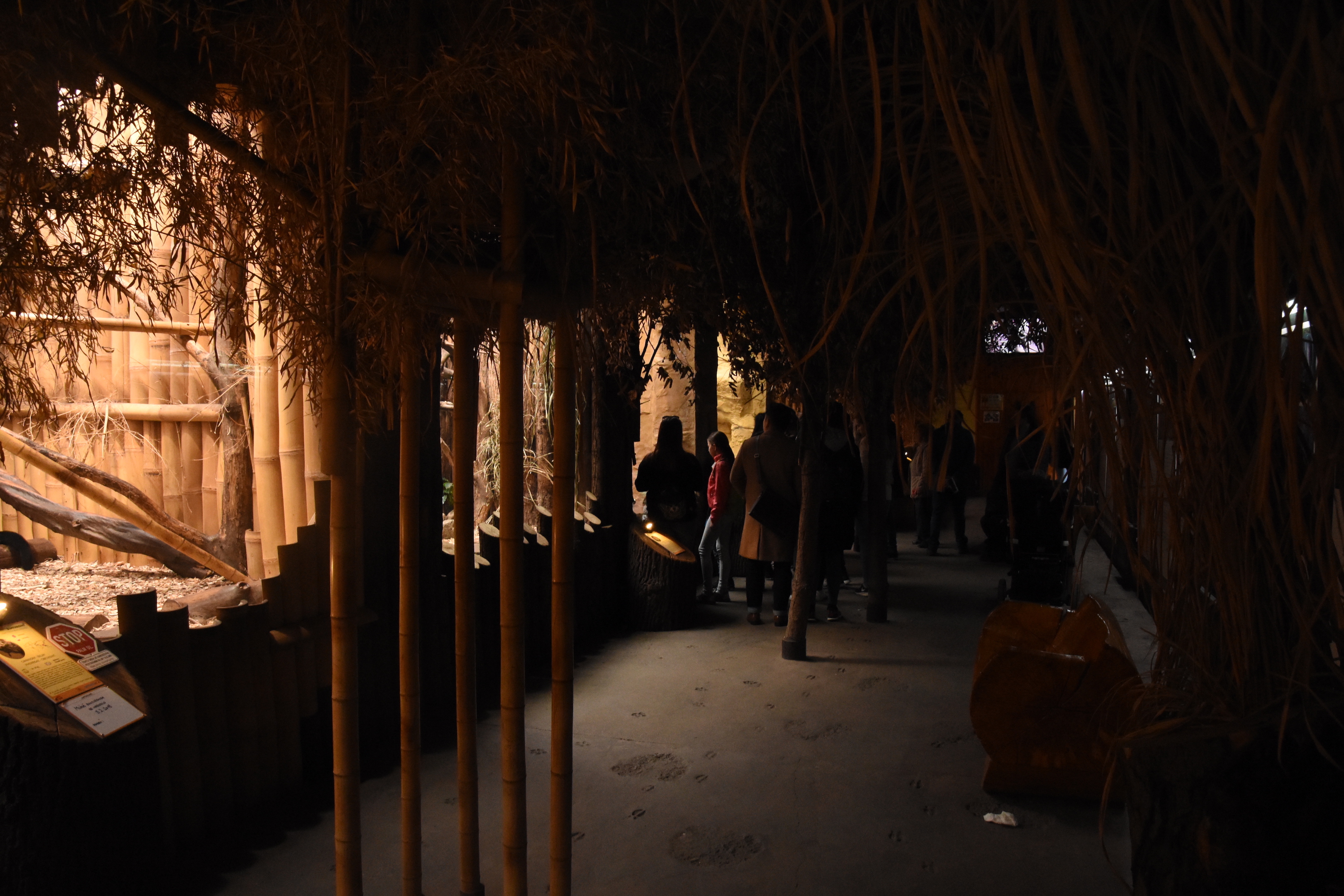 Cat house - overview