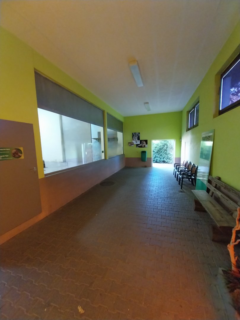 Cat House - Siberian tiger