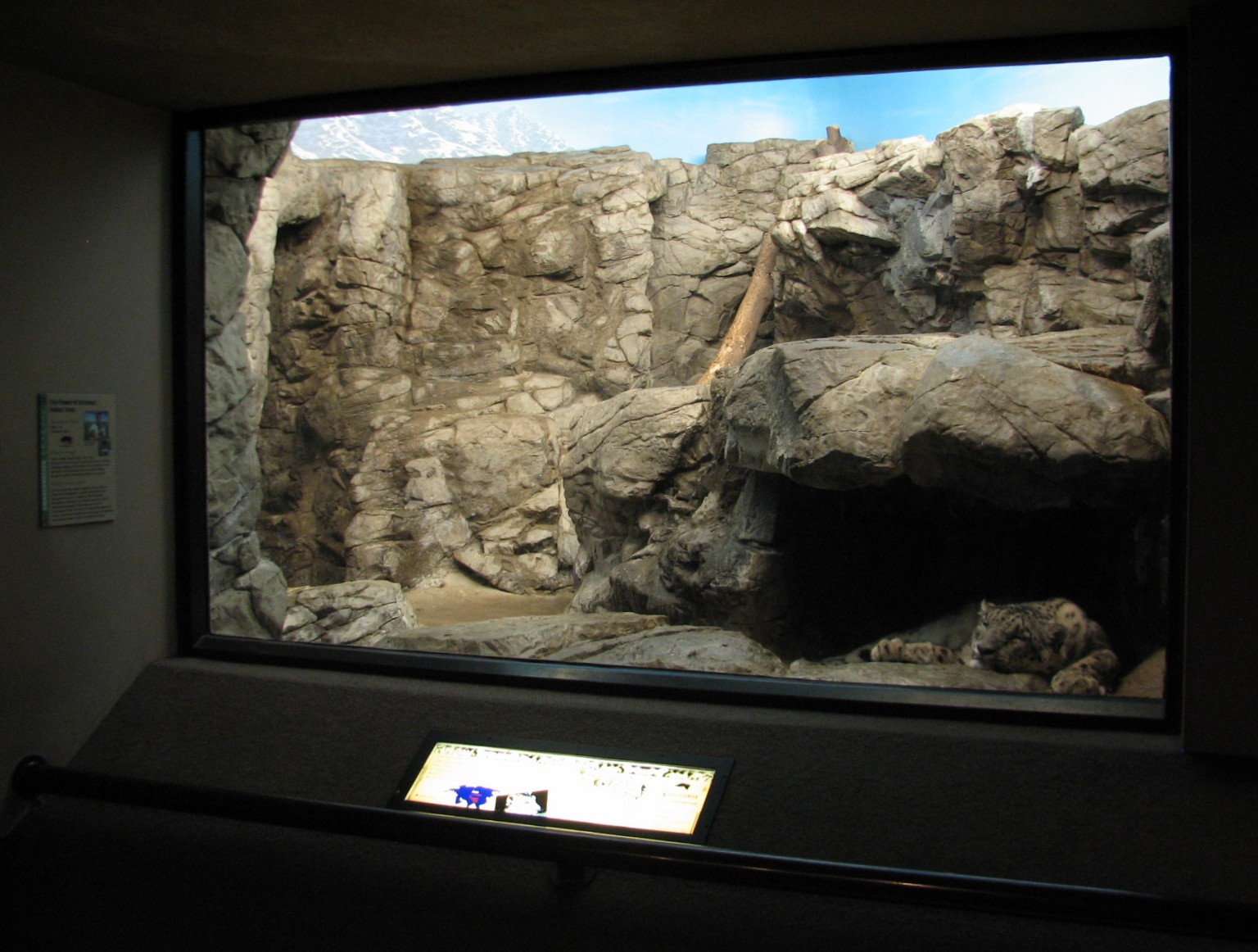 Cat House - Snow Leopard Exhibit