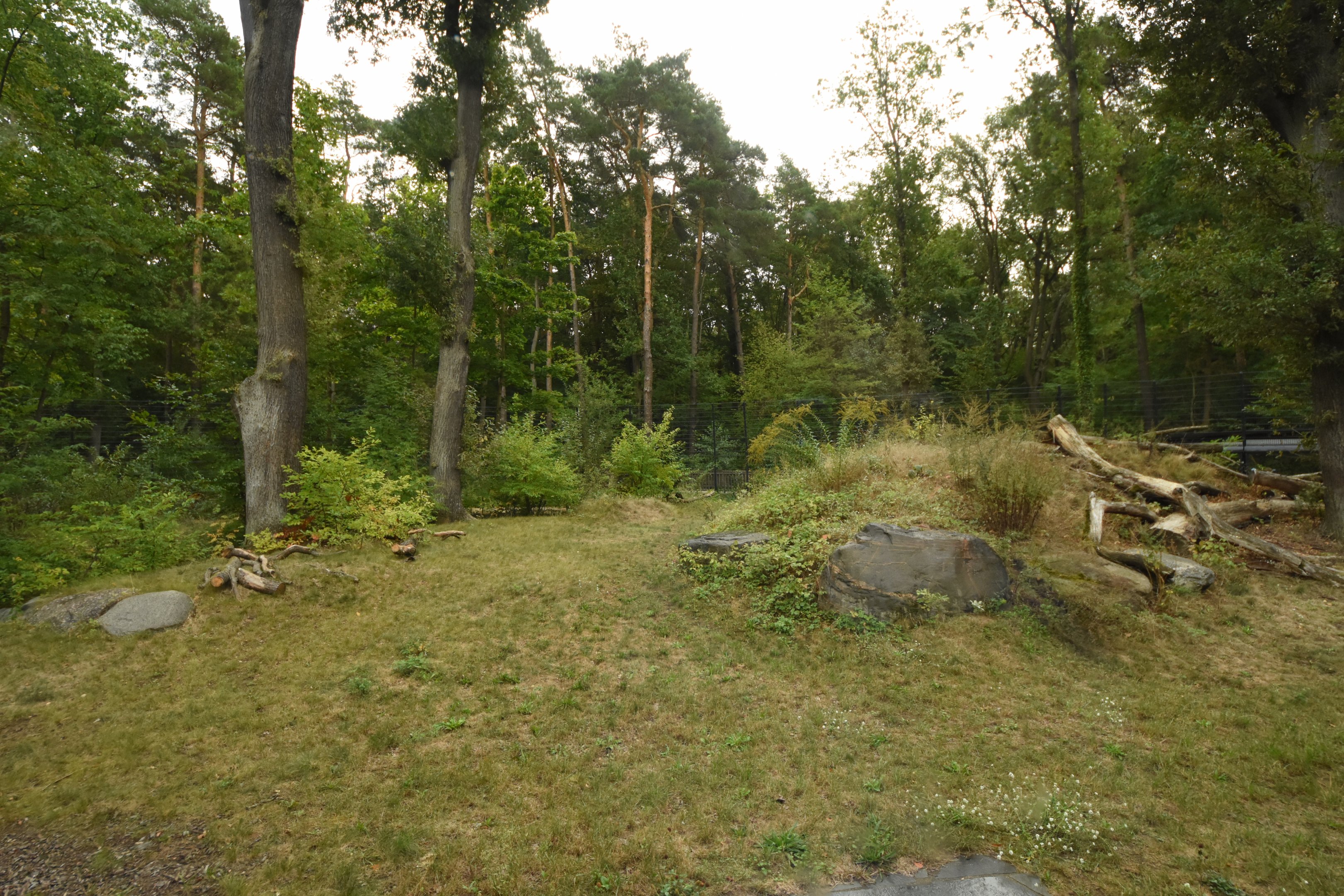 Cat house - Sumatran tiger enclosure