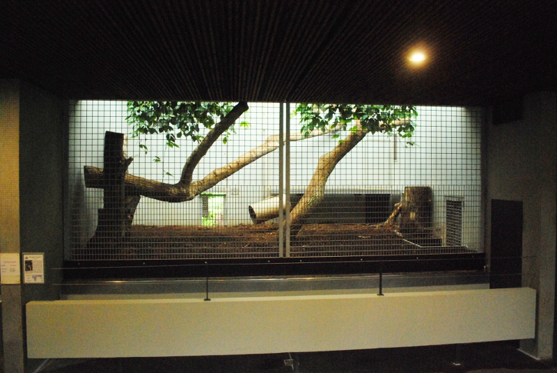 Cat indoor cage at Stuttgart