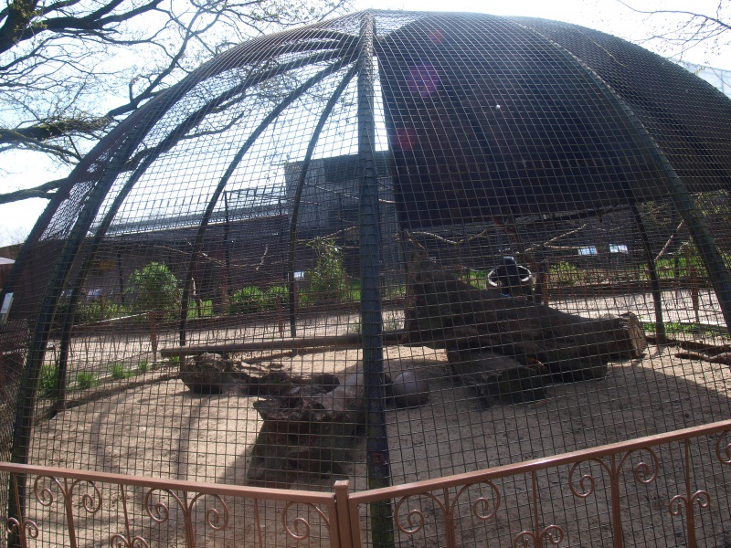 Cat rearing cage (April 19th, 2015)